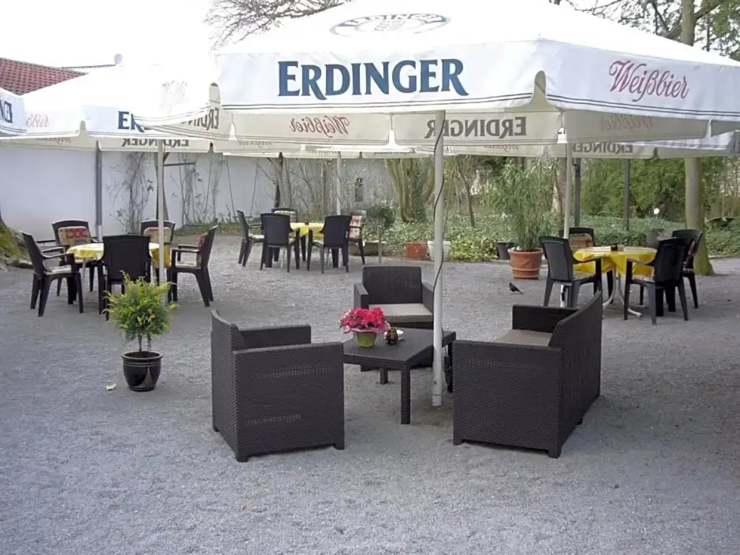 Ackfeld Hotel-Restaurant