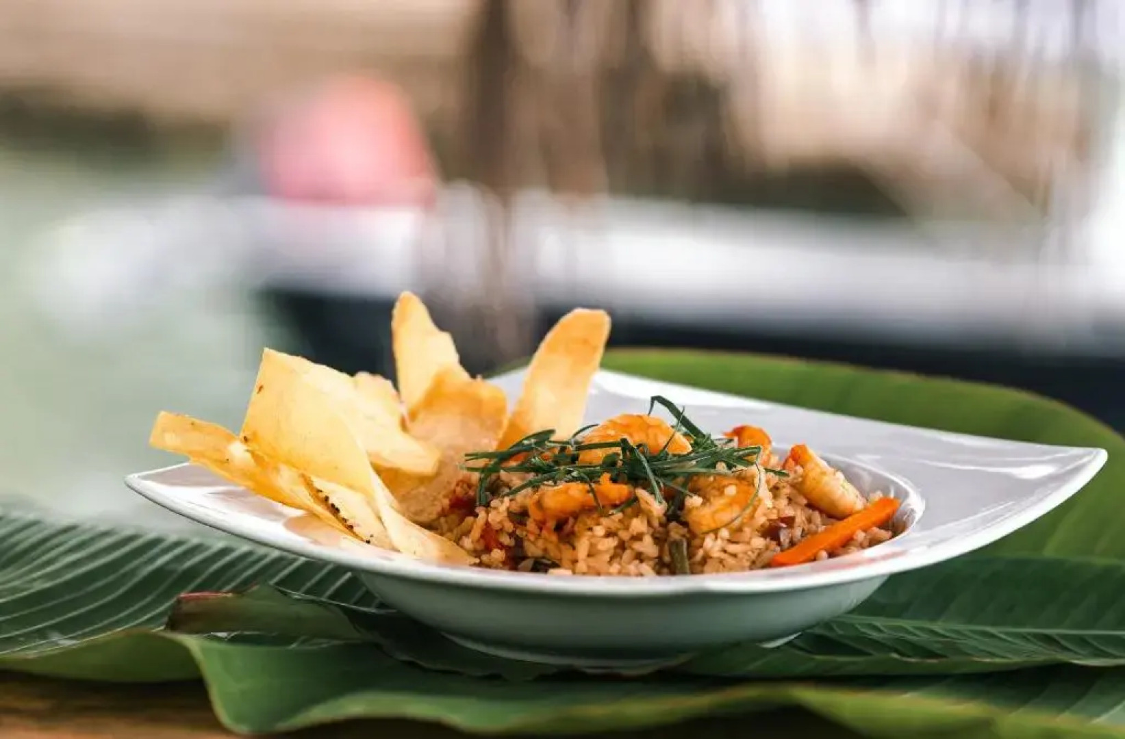 Isla Fuerte Eco House