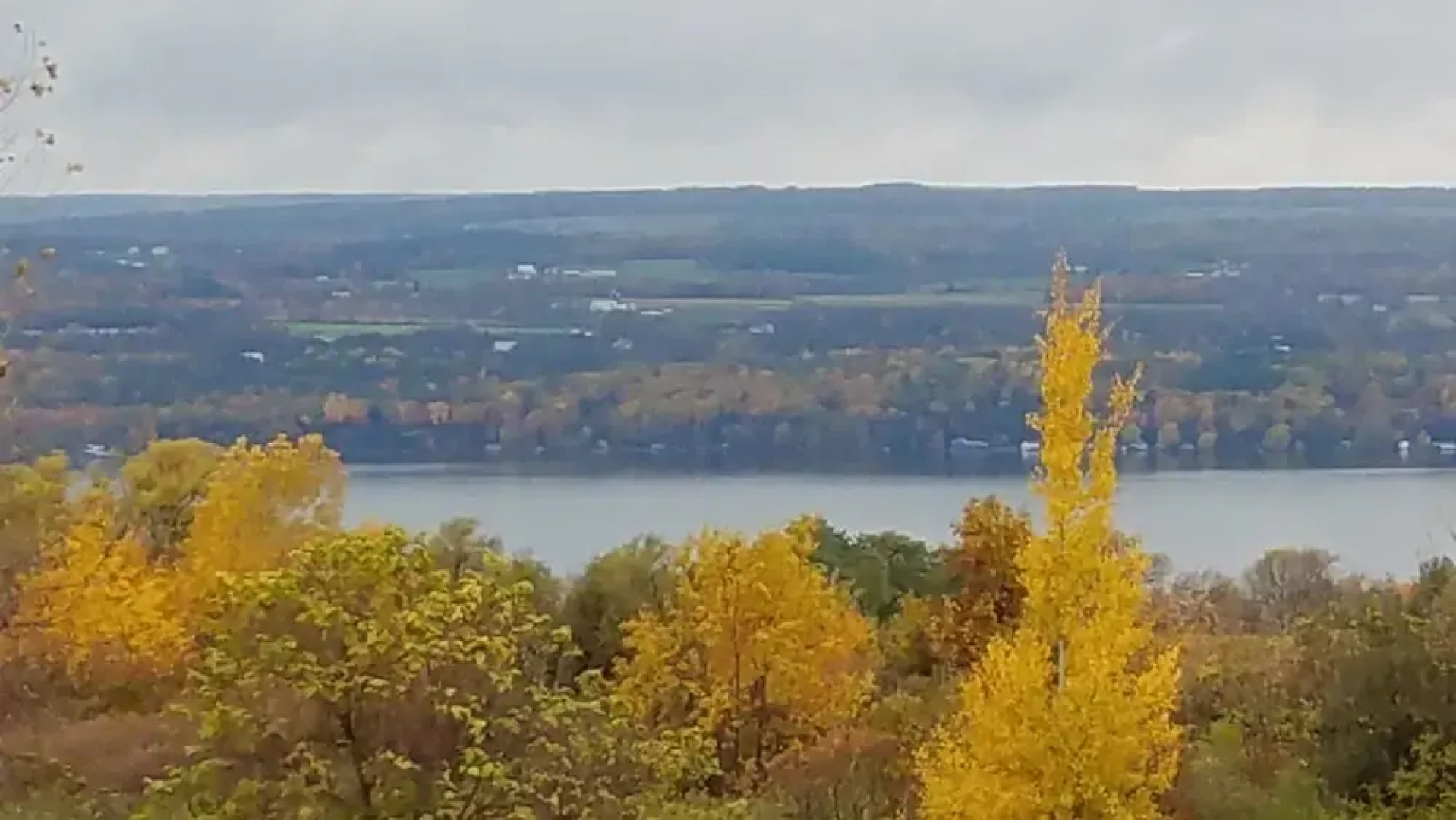 The Fox and the Grapes Bed & Breakfast