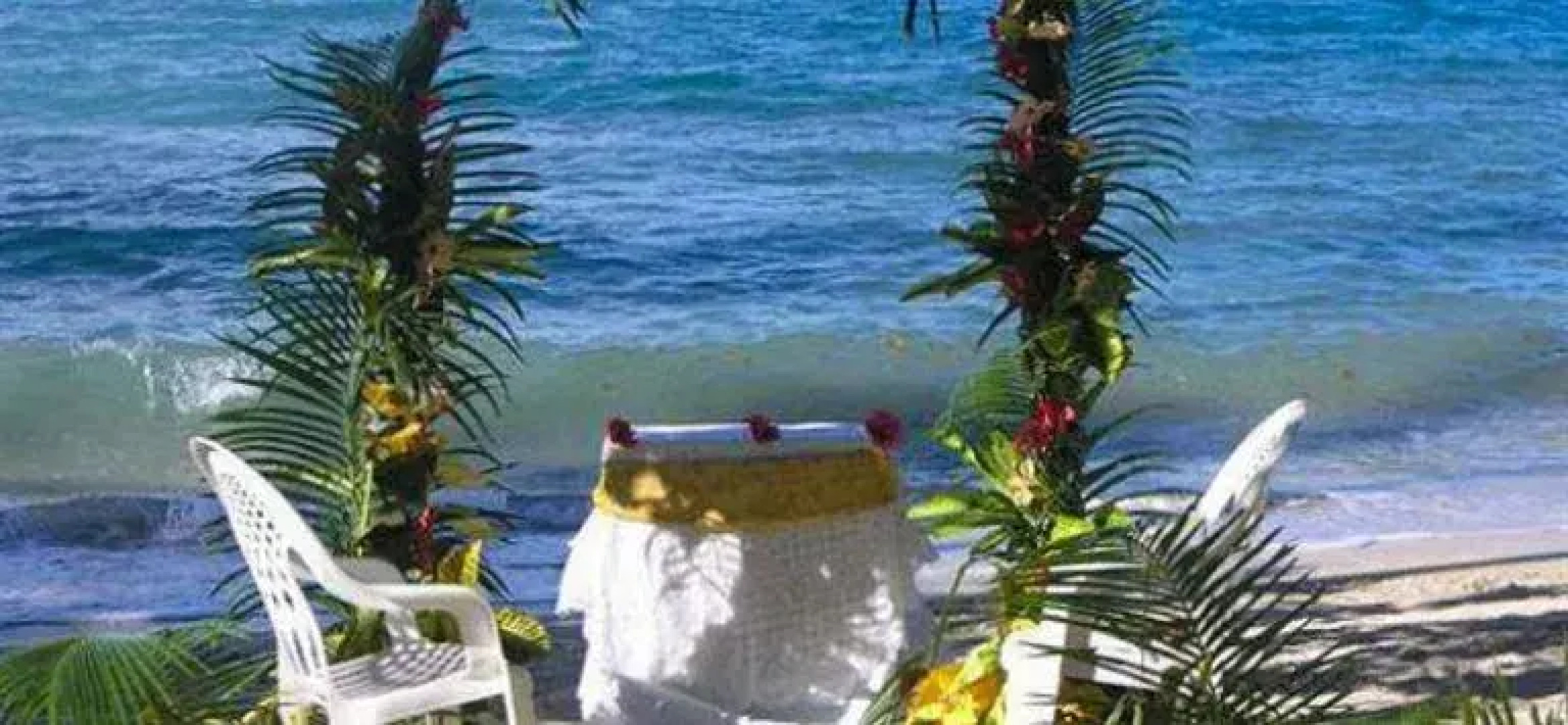 Dolphin Bay Divers Bungalow