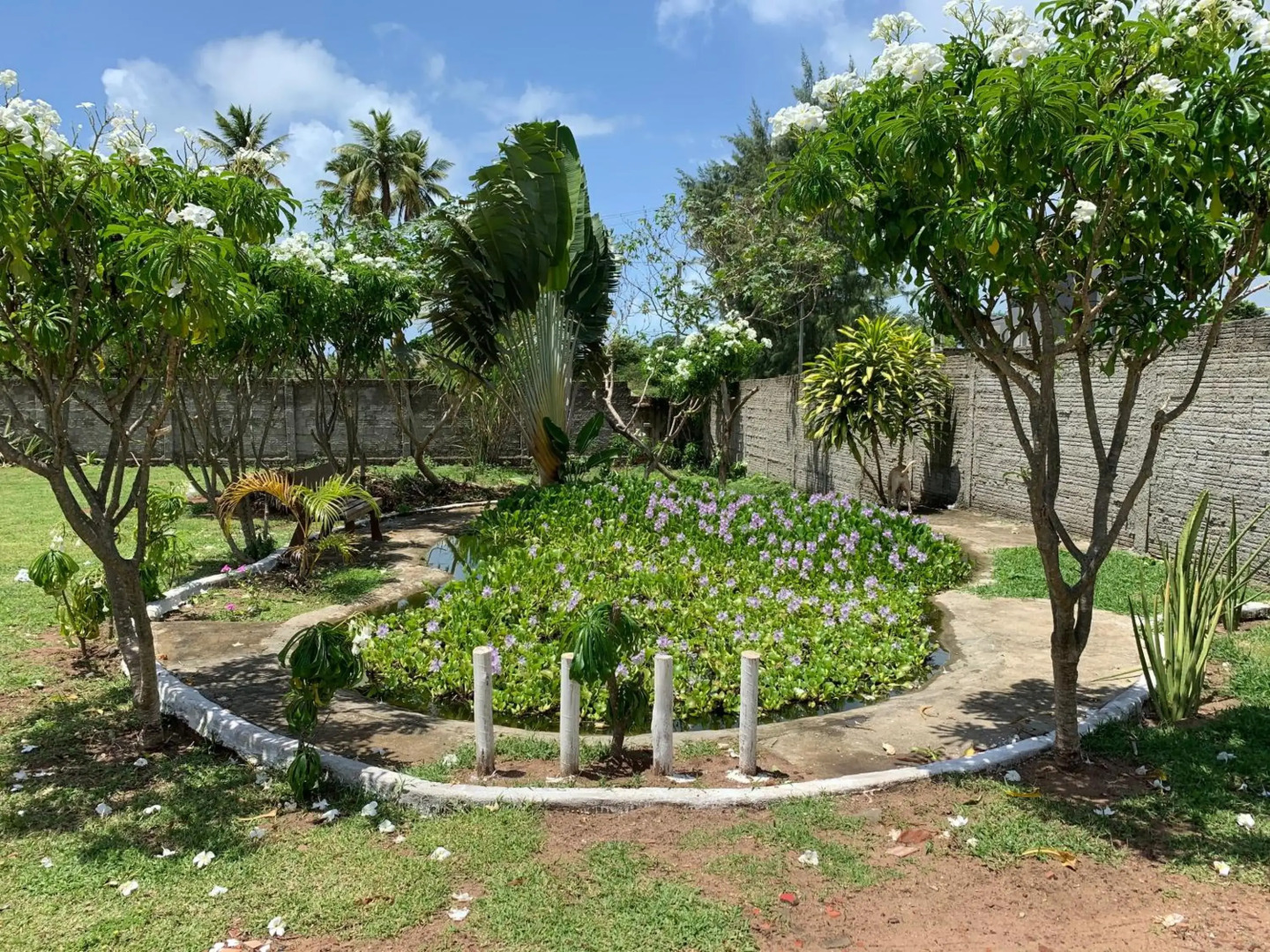 Sítio Vila das Flores