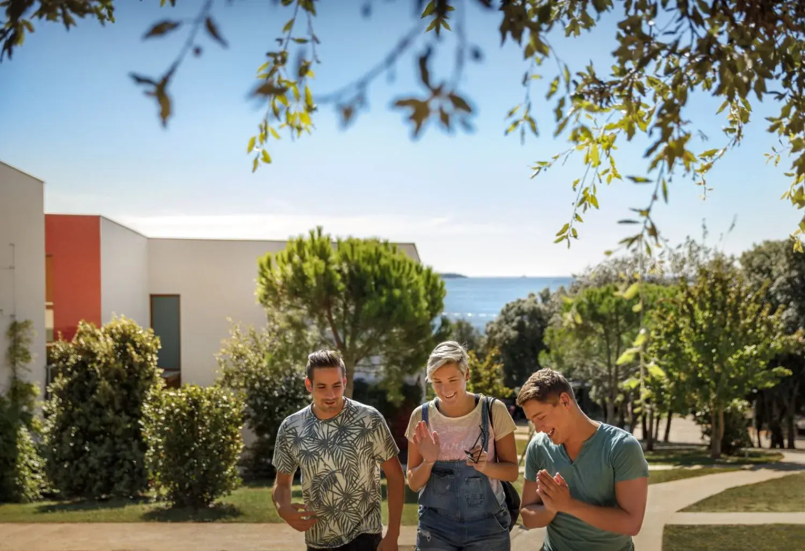 Apartments Amarin