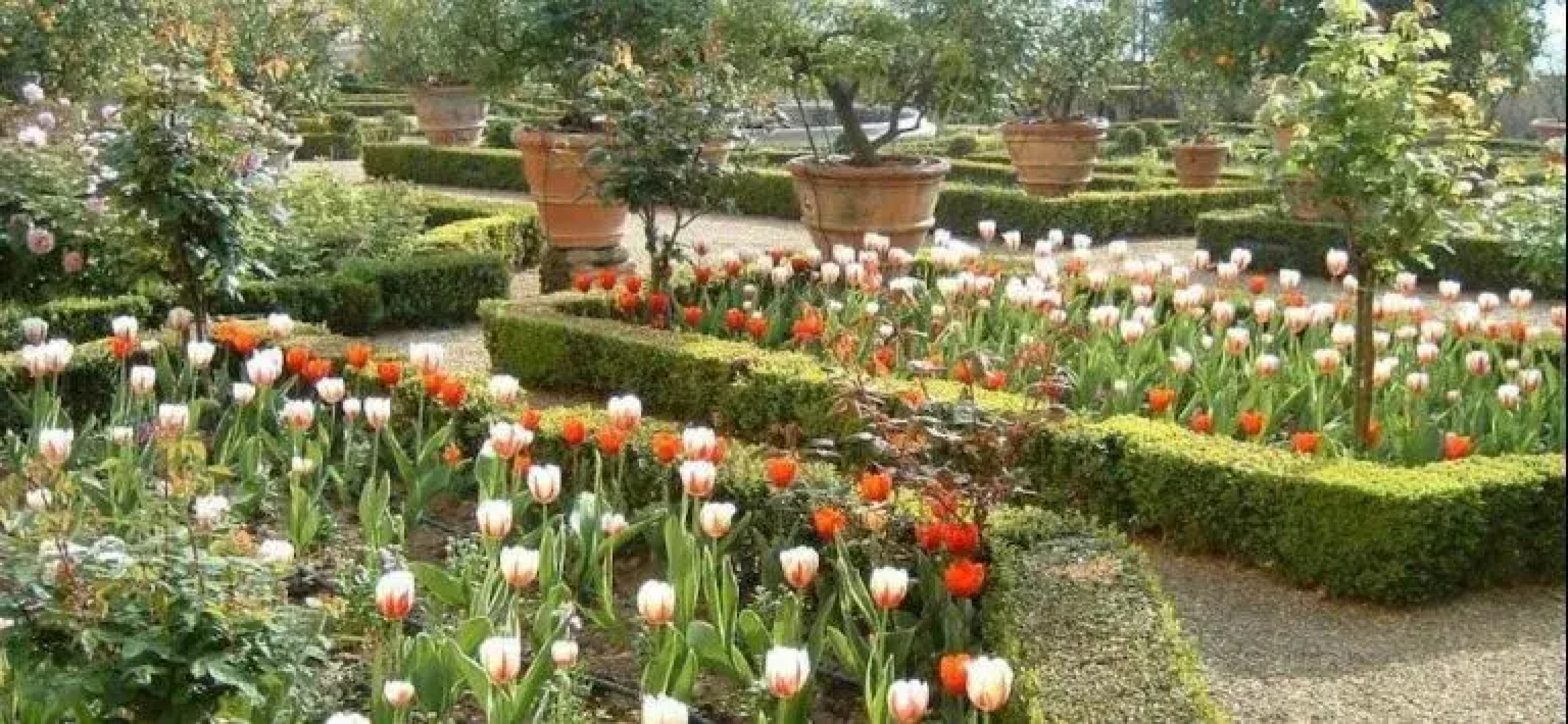 Poggio Torselli Apartments
