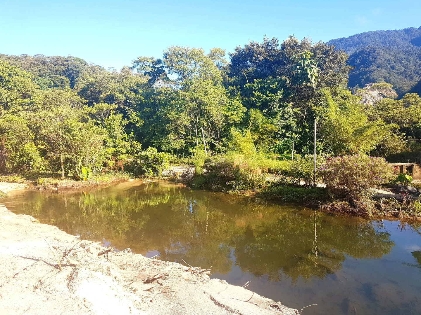 La Penal Amazon Lodge