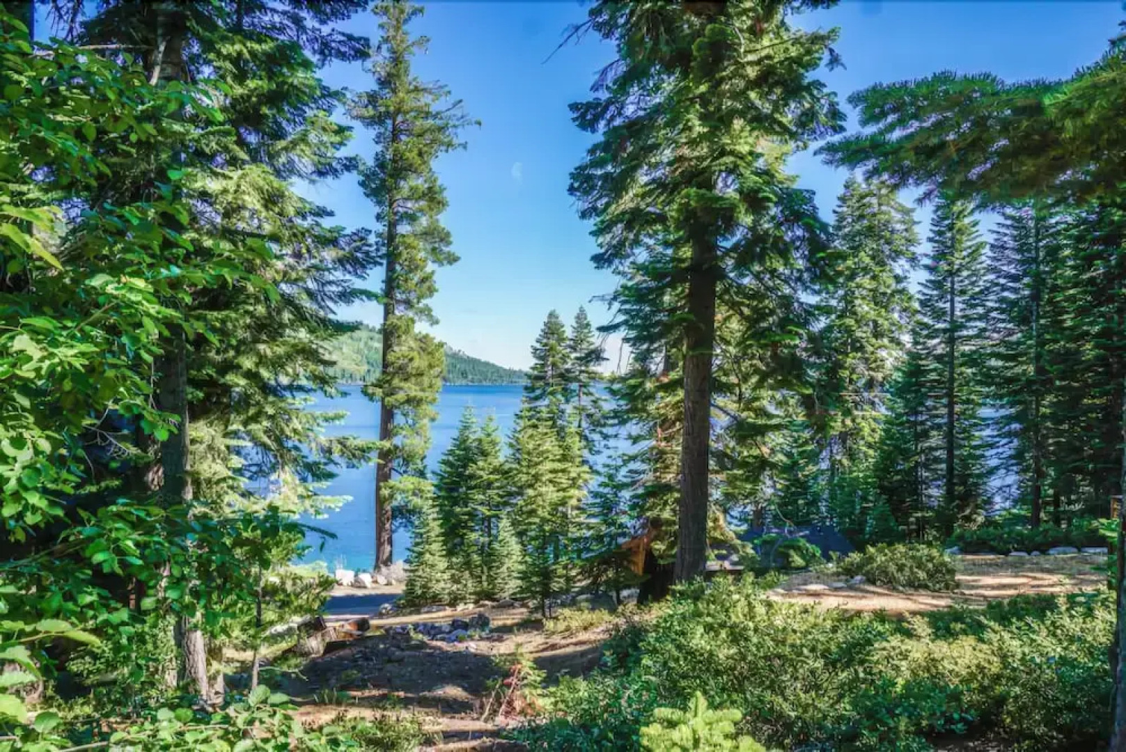 Rogers Cabin 4 Bedrooms 1.5 Bathroom Cabin