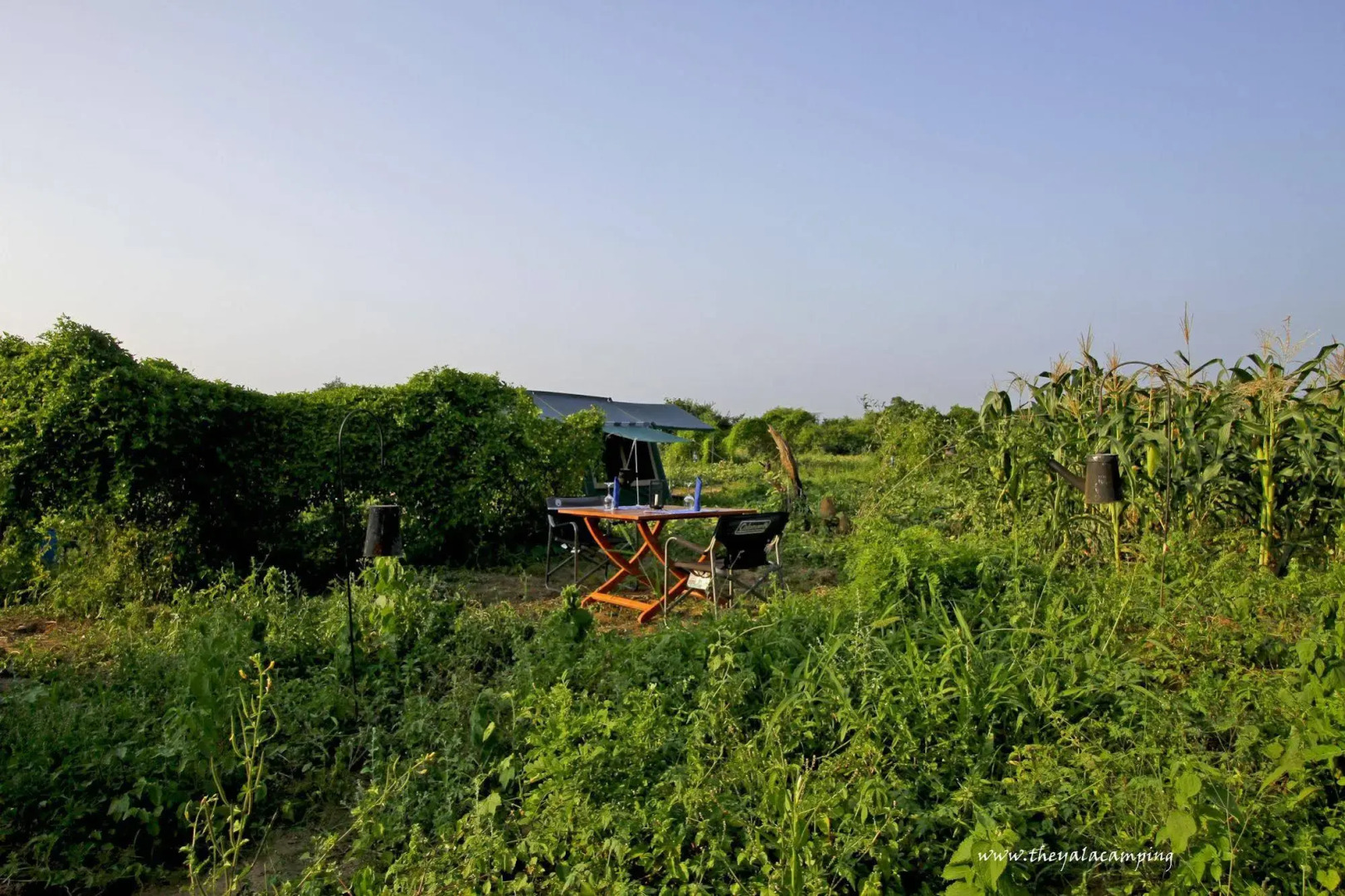 The Yala Camping