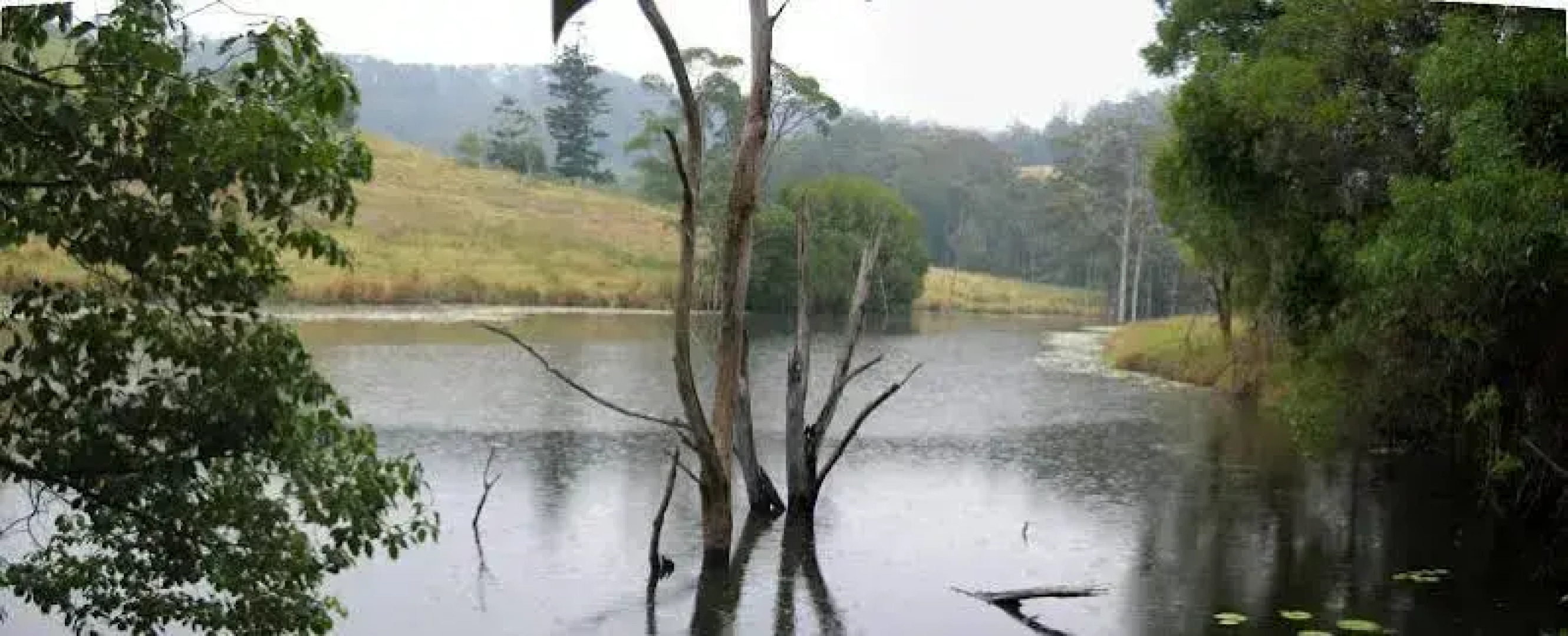 Rossmount Rural Retreat