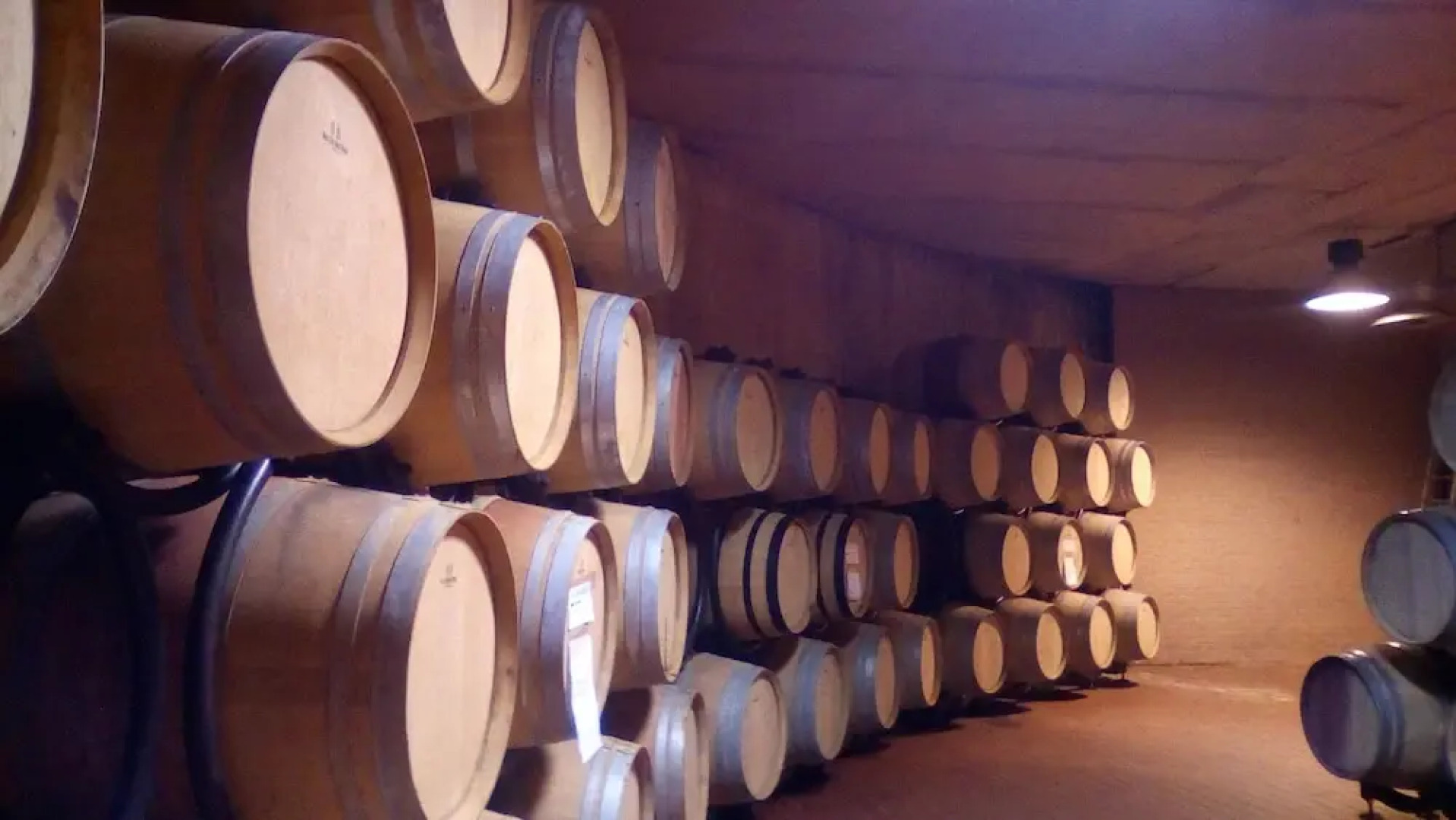 Casa Vacanze Il Piccolo Noce