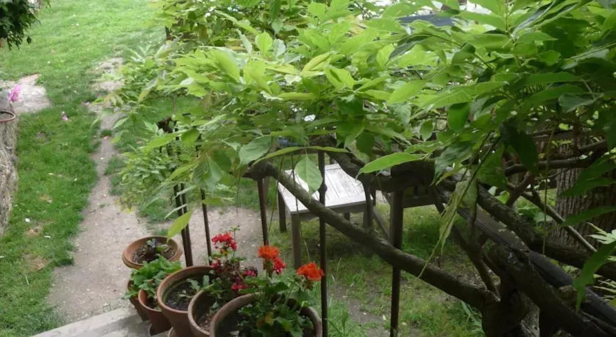 La Maison dHôtes Chez Delphine