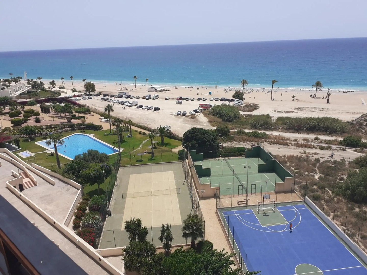 Partida Paraiso 4-8e