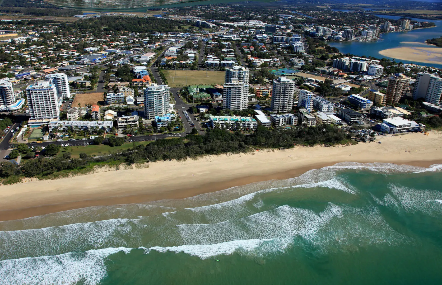 Verve on Cotton Tree