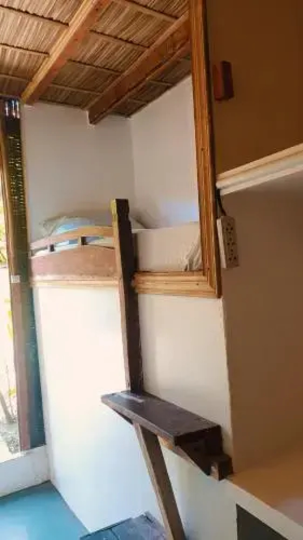 Bongo Bongo Divers