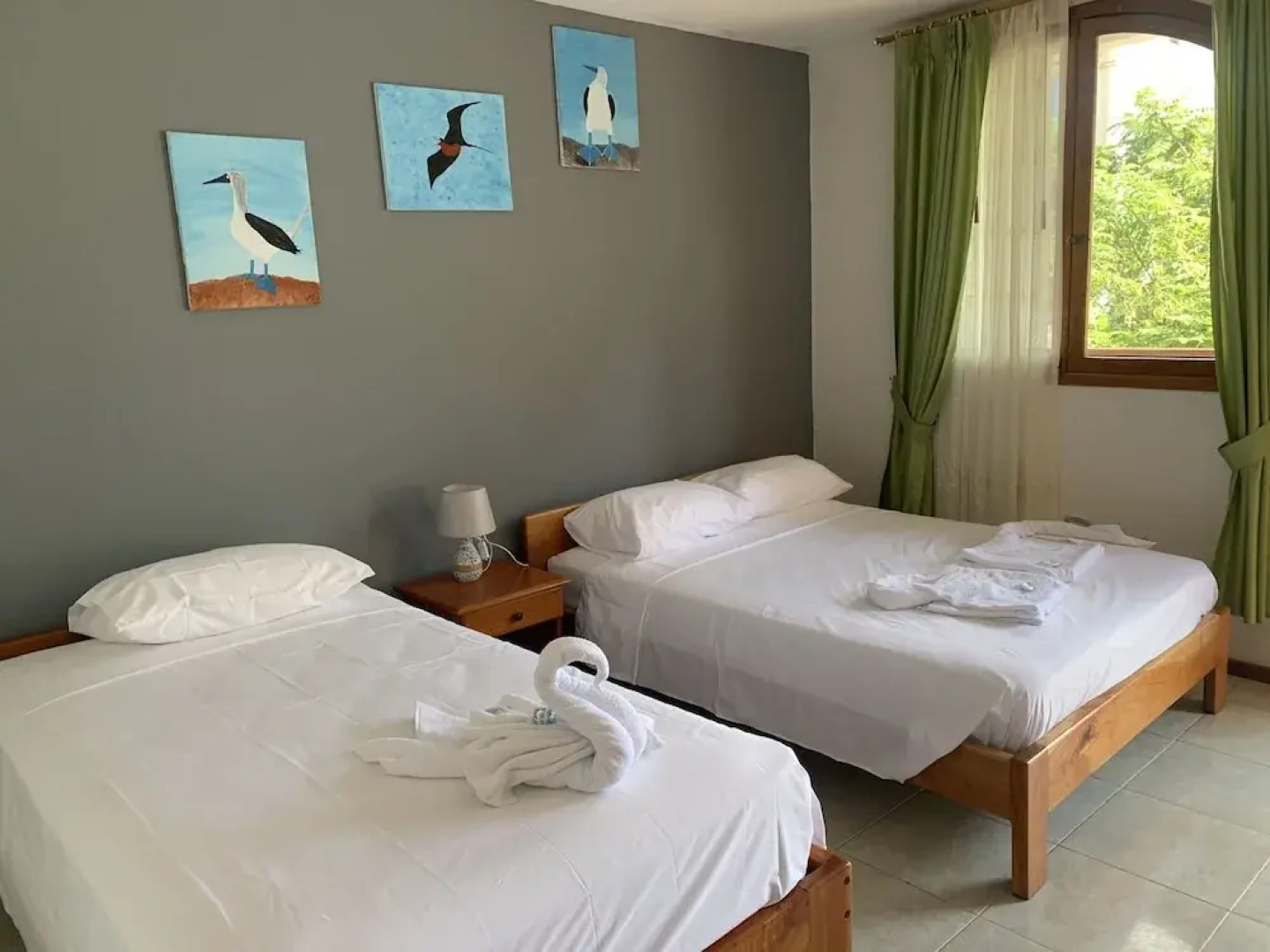 White House Galapagos