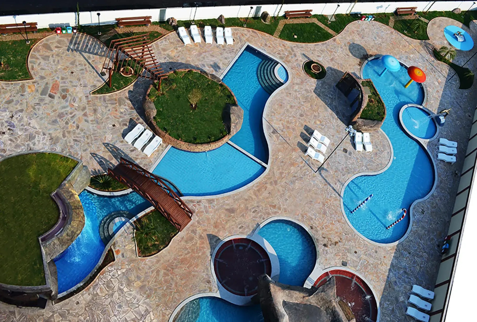 Golden Dolphin Supreme OFICIAL