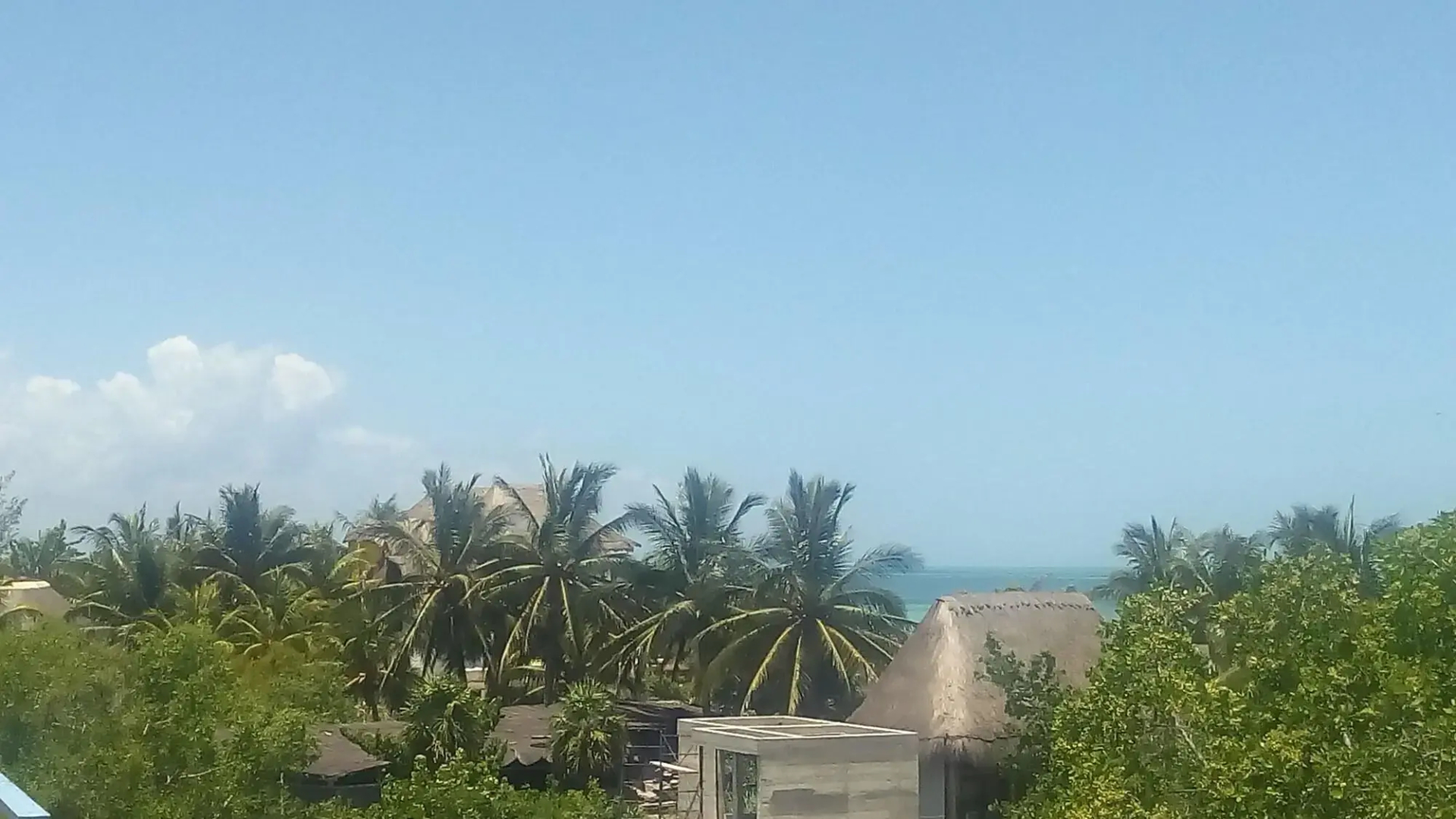 Casa Vainilla