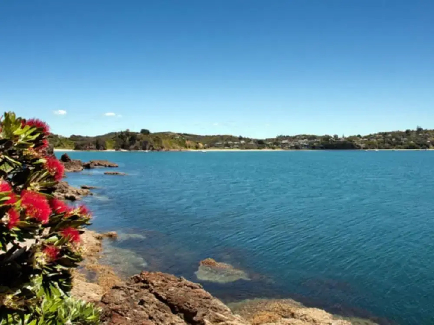 Palm Beach Bungalows