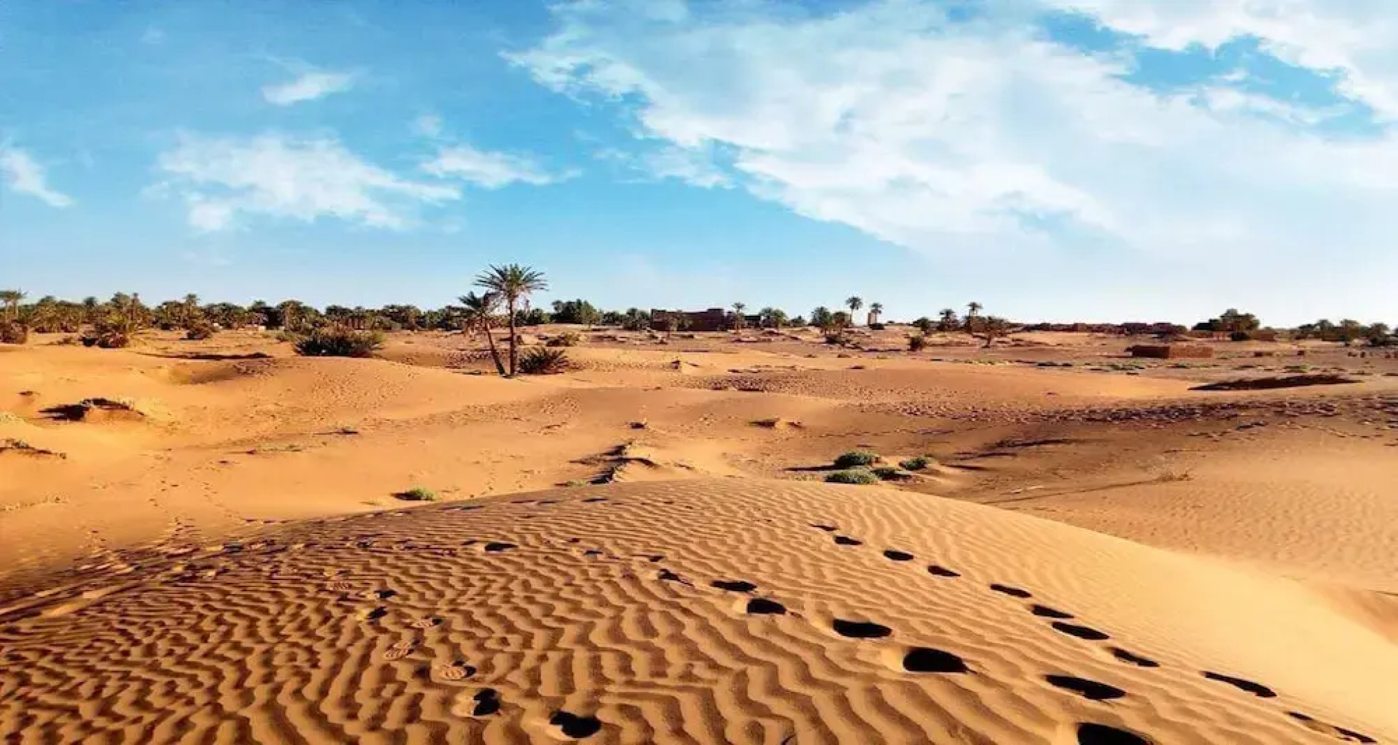 Locals Under Stars Trips