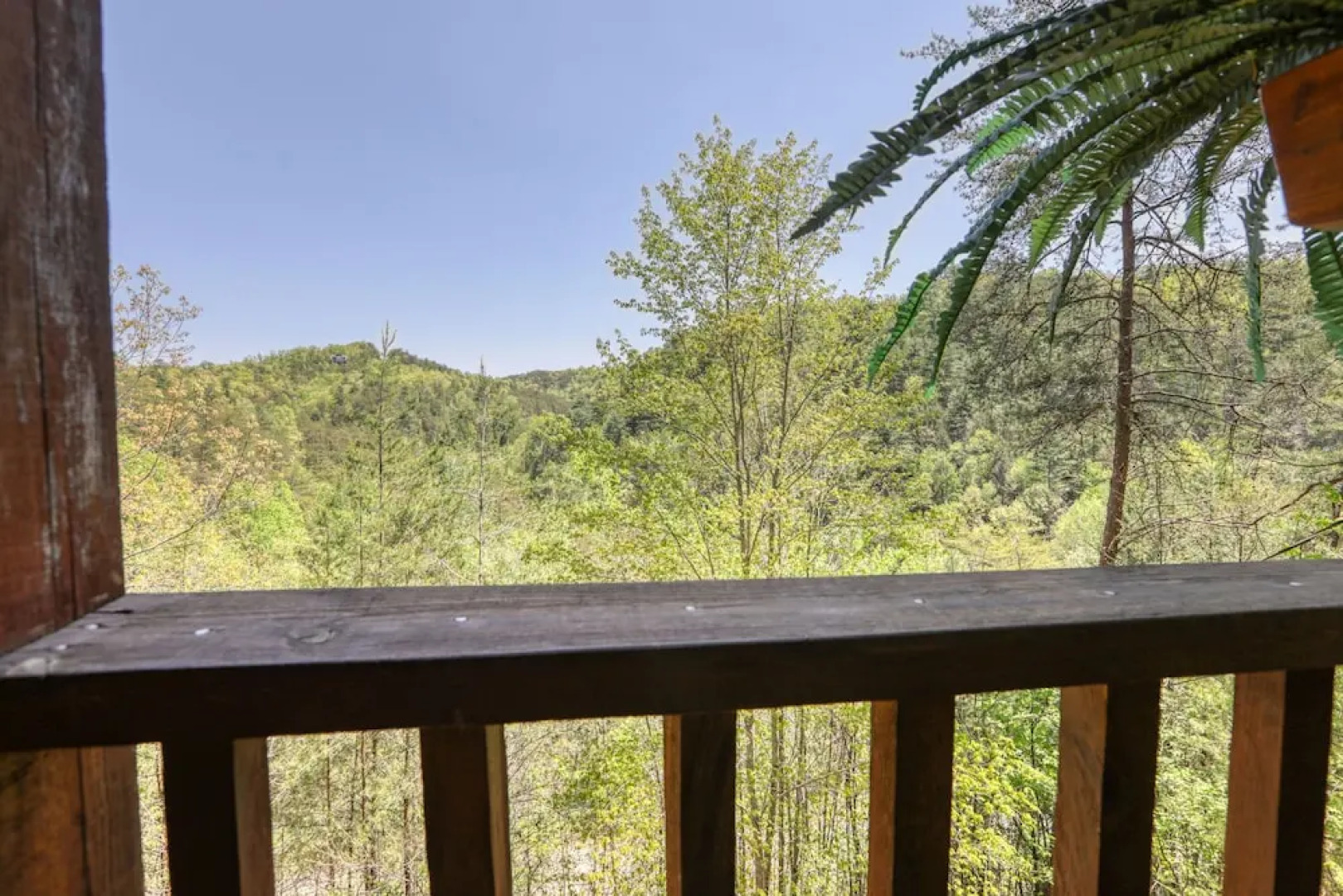 Bear Pause - 2 Bedrooms, 2 Baths, Sleeps 6 Cabin by RedAwning