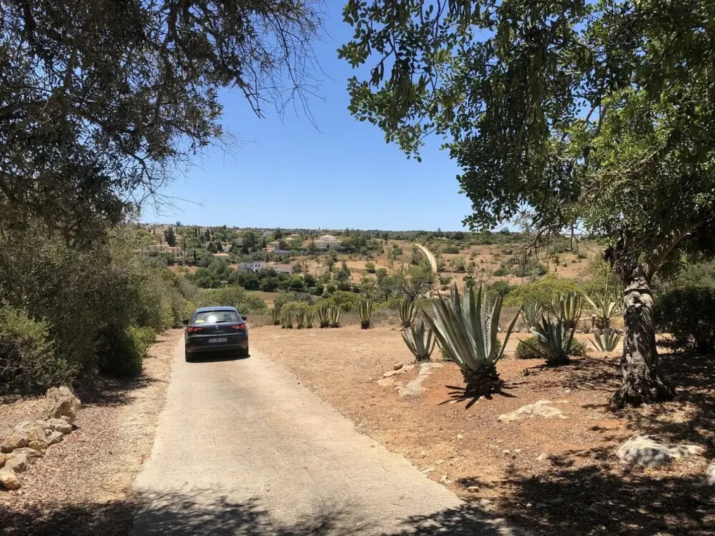Villa Monte Alto