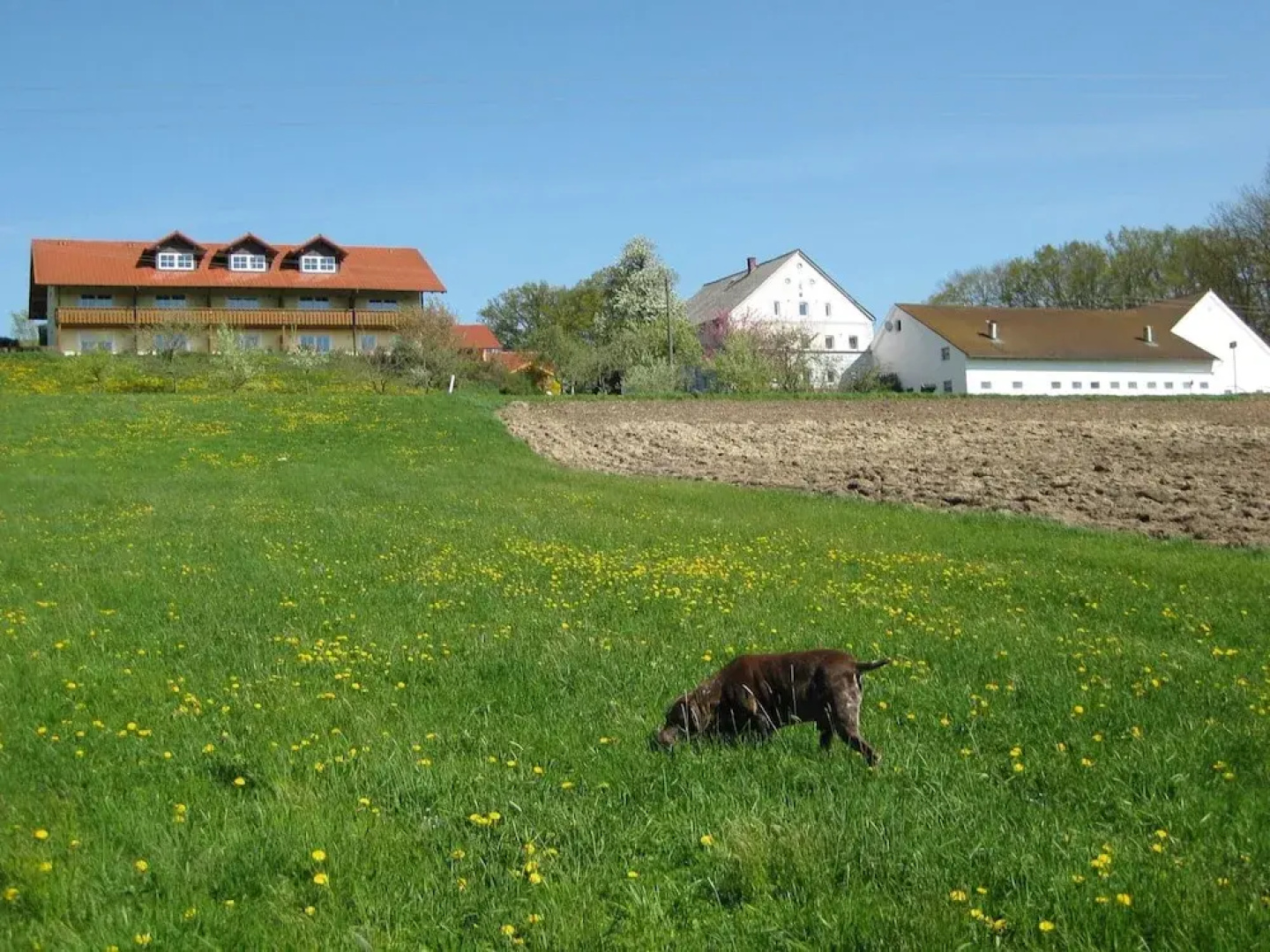 Wohnung in Rotthalmunster mit Garten