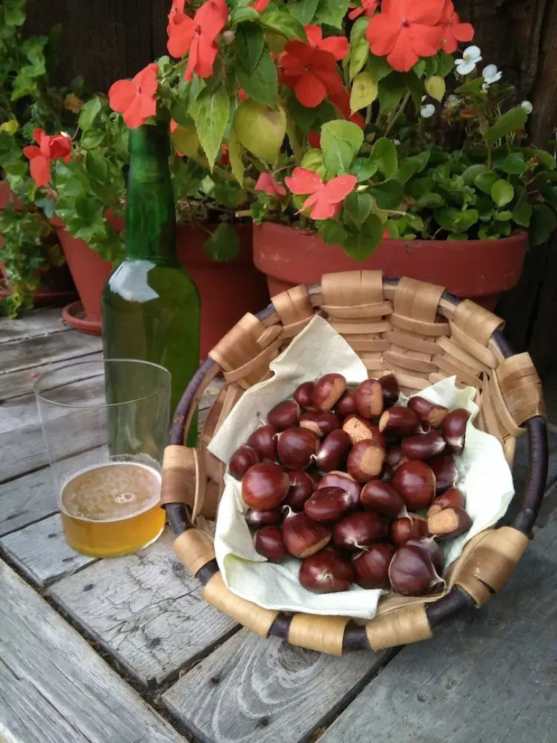 Casa Rural La Cuesta