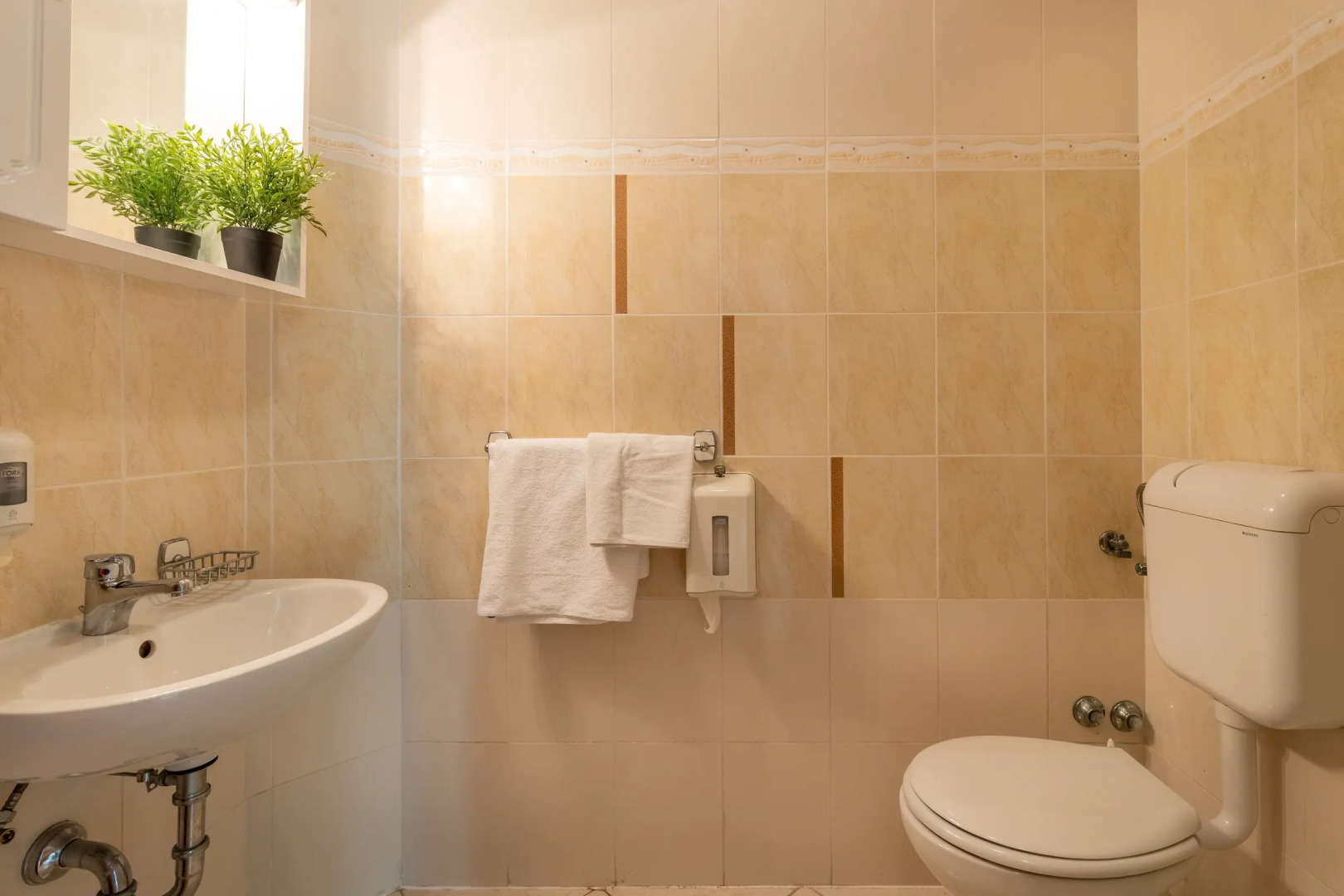 Pool Apartment Suzi 5