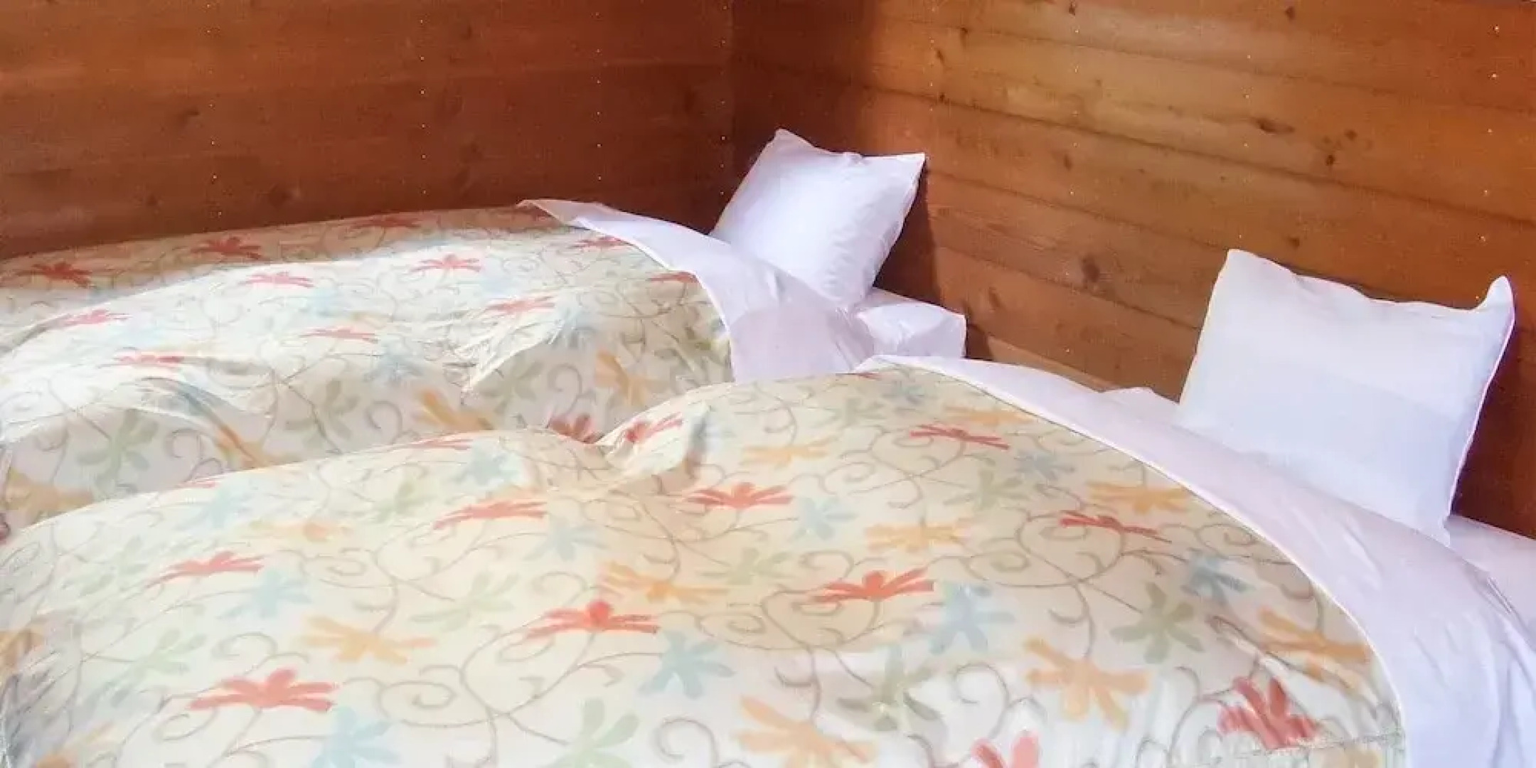 Yamanakako Pension Pause