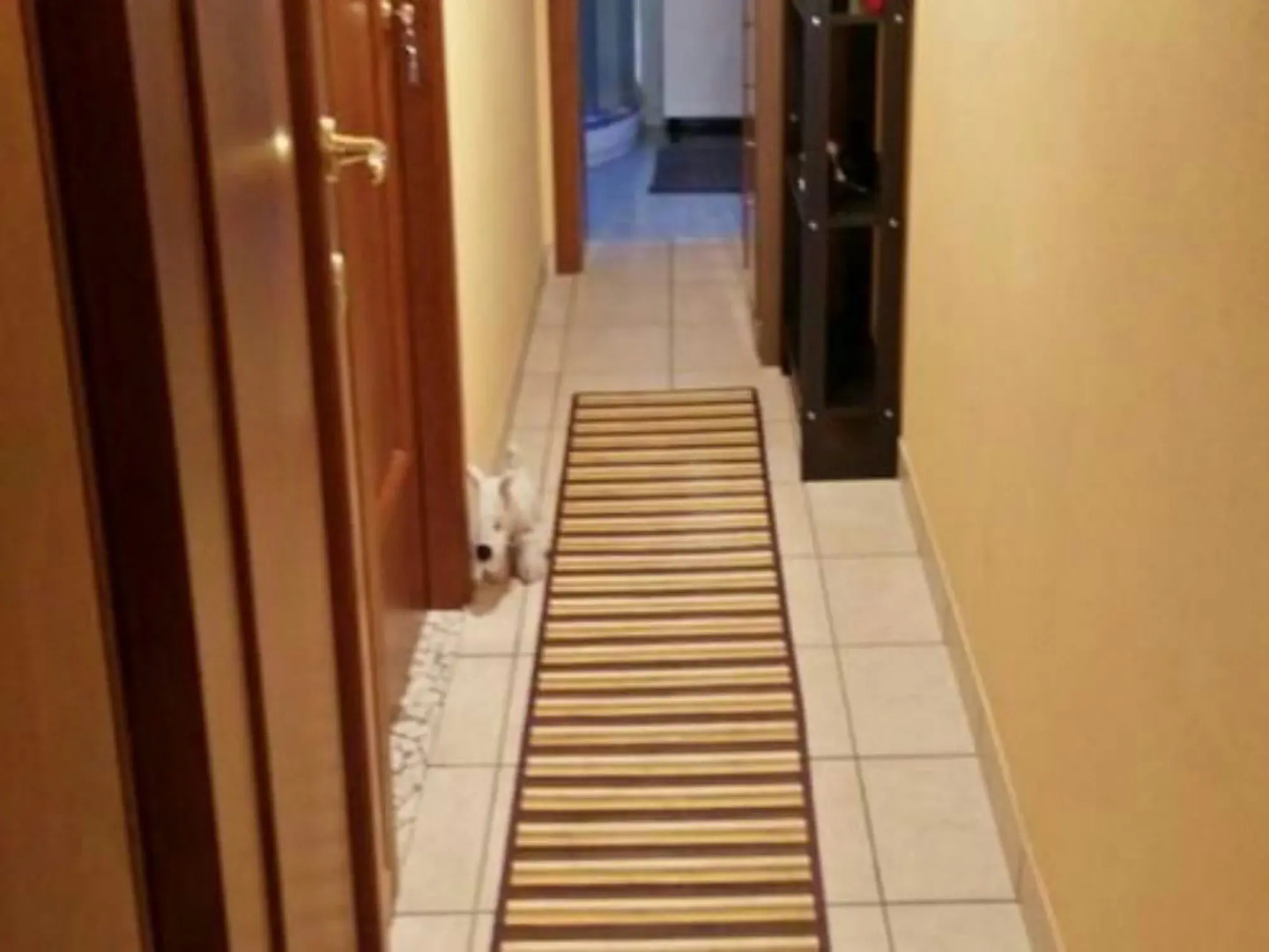 BB Stazione Centrale