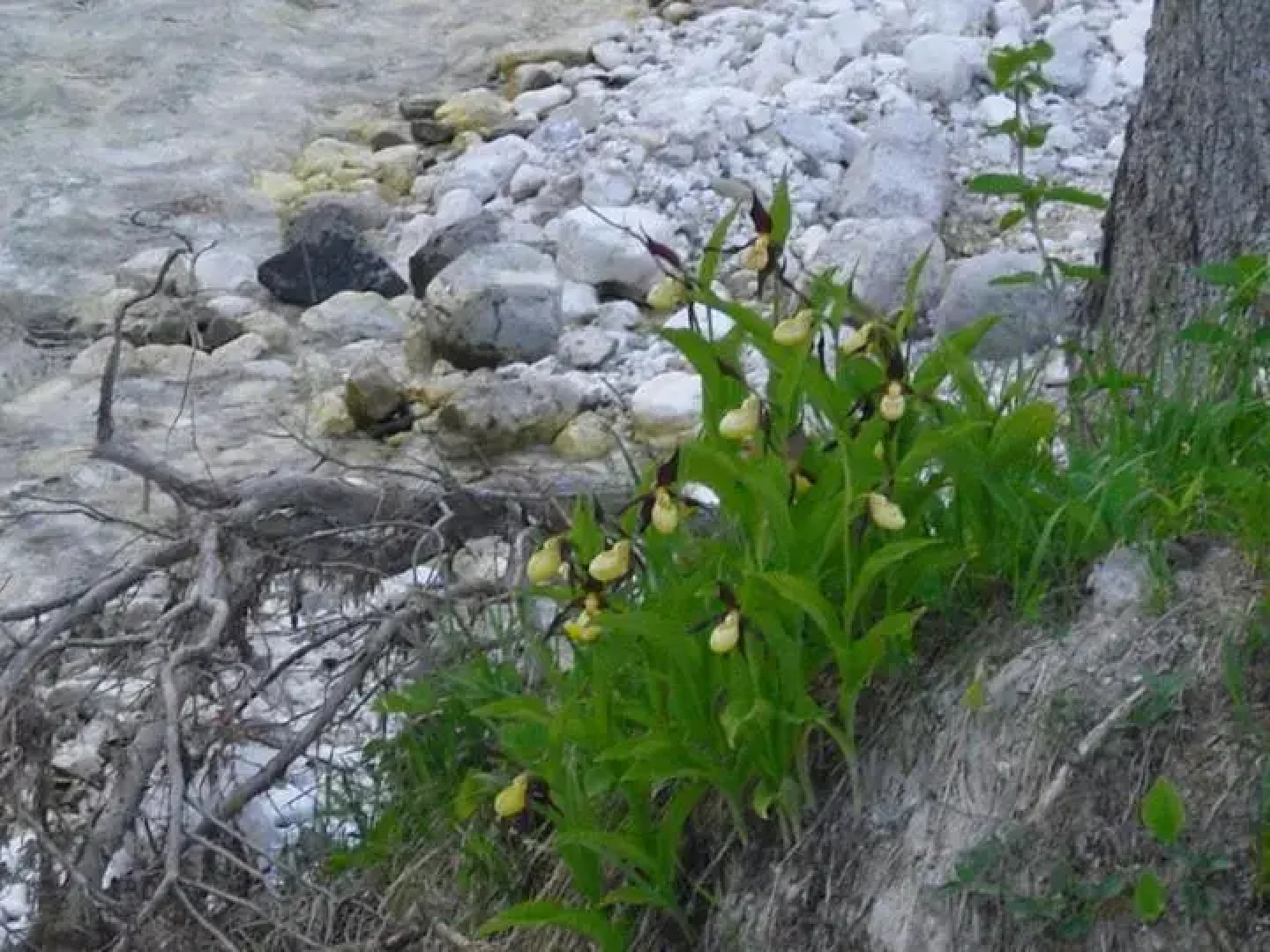 Agriturismo Prati Oitzinger