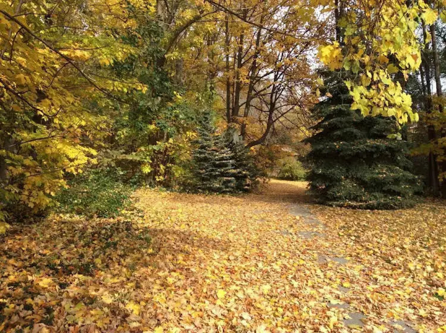 Richmond Manor Bed & Breakfast