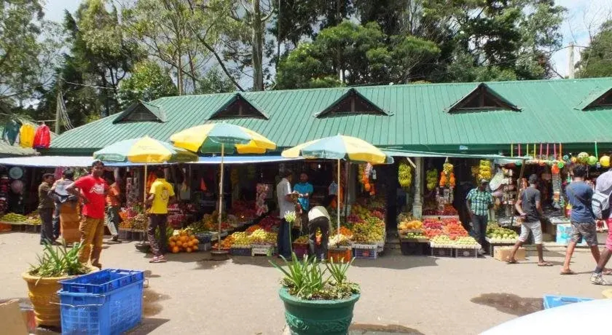 Hiltonia Luxury Apartments (Seagull Residencies)