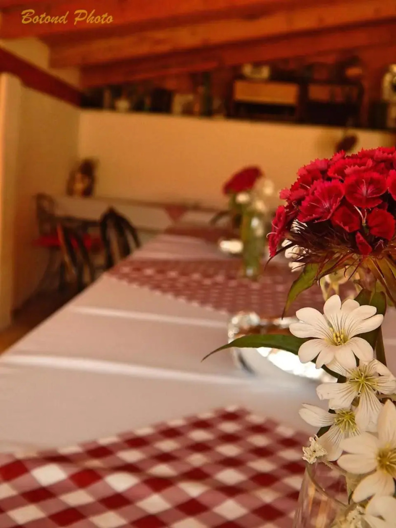 Sátor-Hegy Vendégház