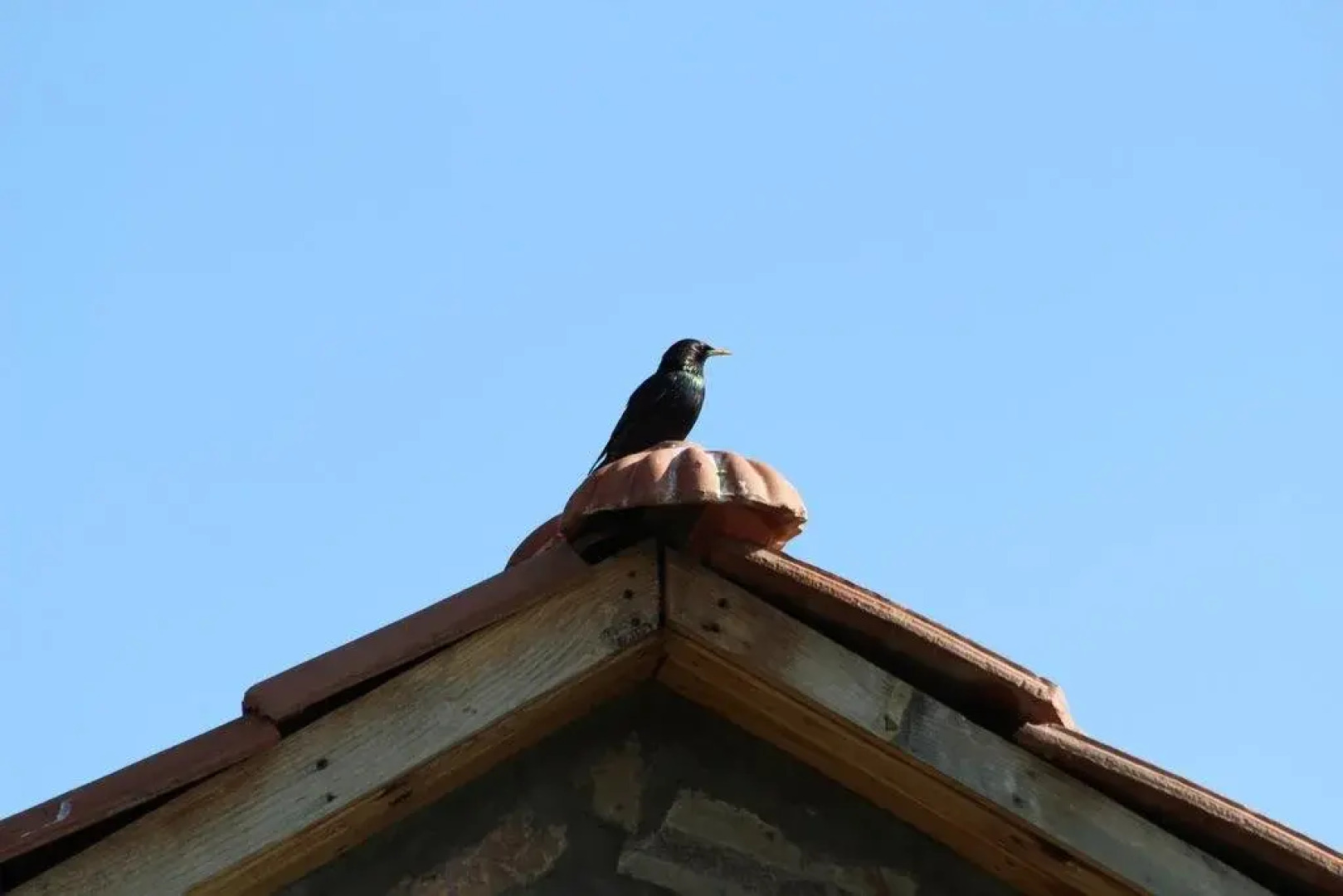 Отель Apaga Resort