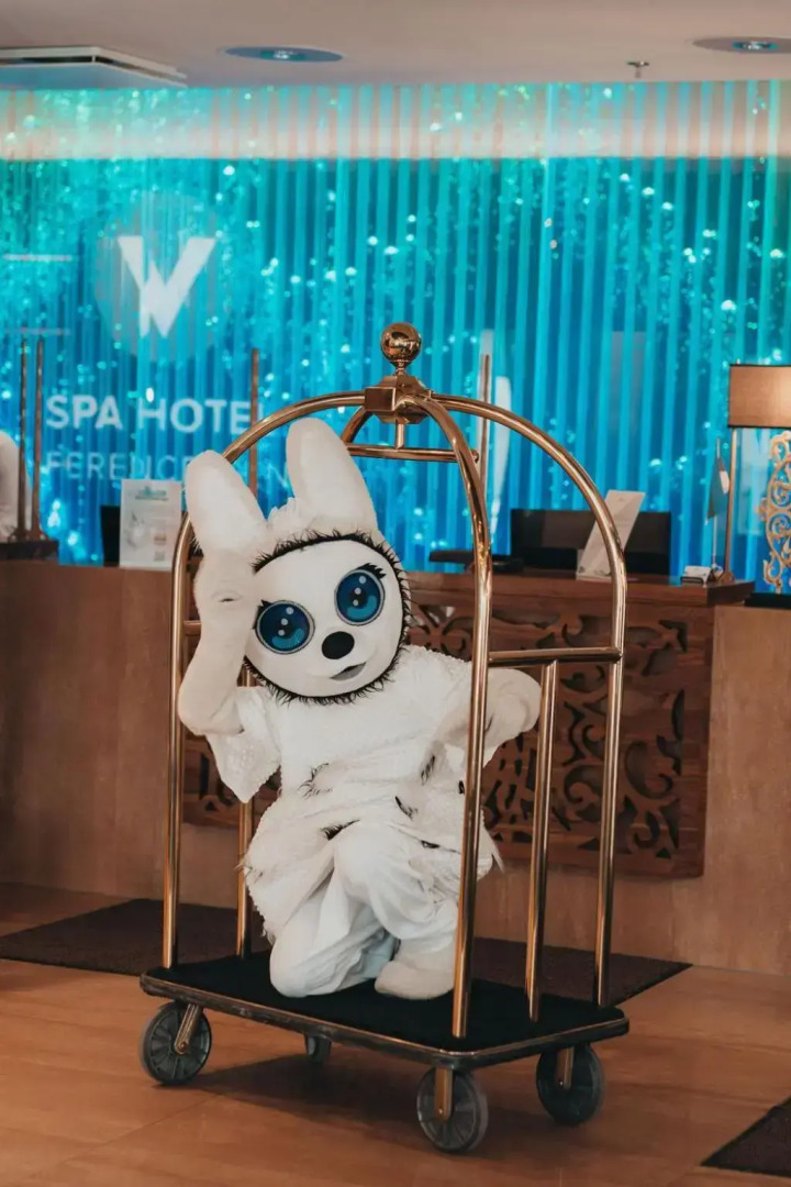 Спа- и конференц-отель V