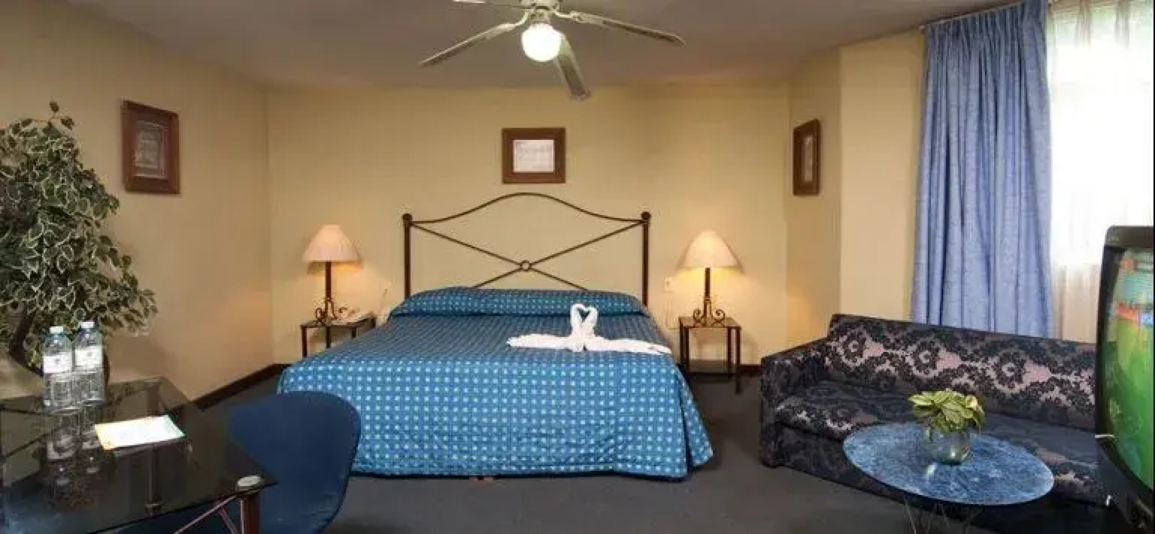 Vista Junior Guadalajara