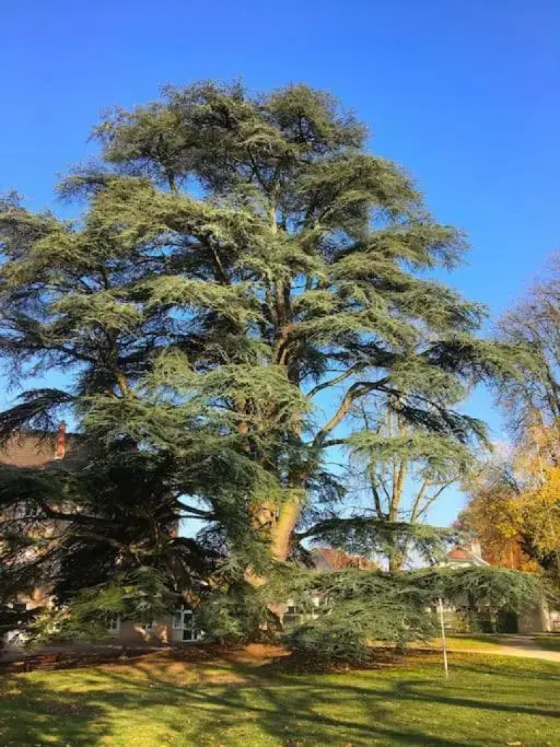 Grand T3 avec cour intérieure