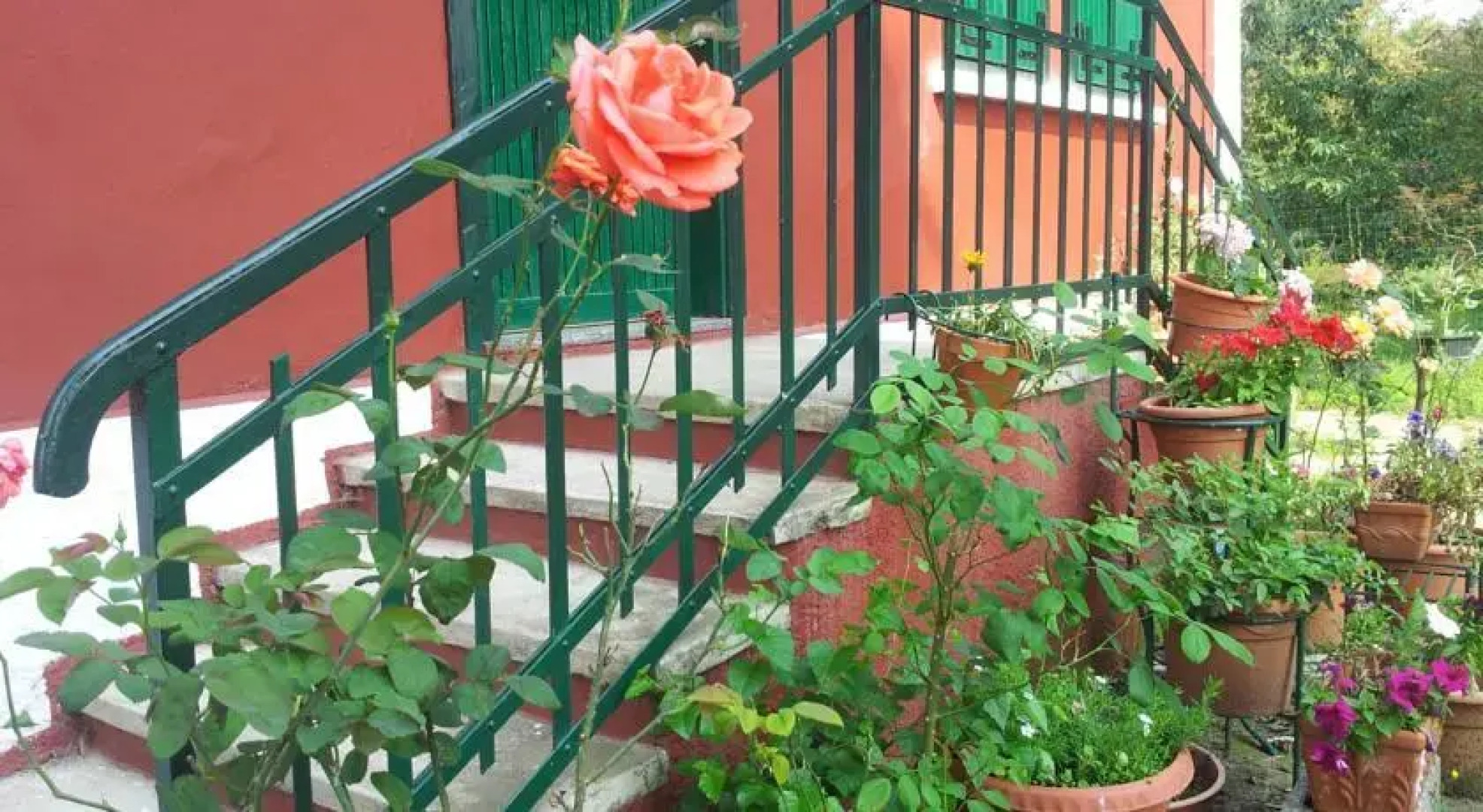 B&B La Rosa Cantoniera