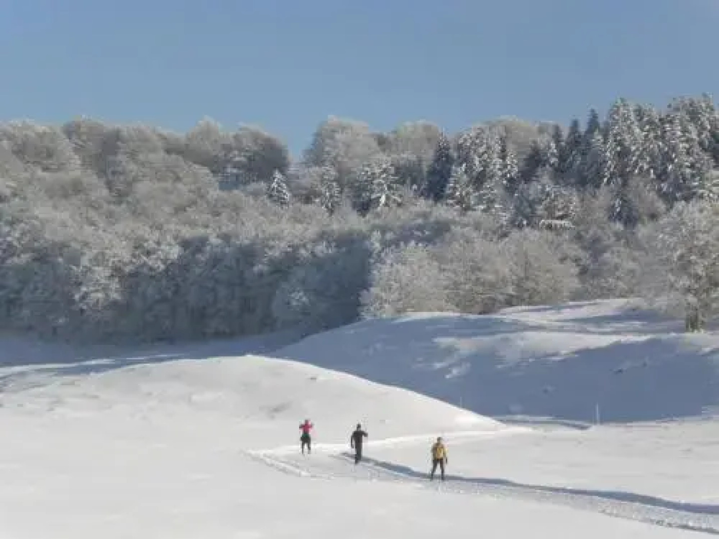 Chambres & Gites les Pelaz