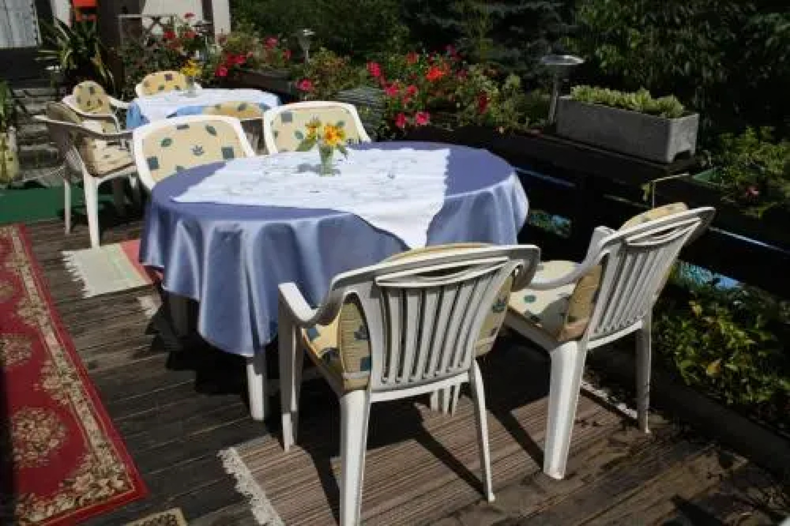 Weinbau-Gästezimmer Martin und Eva Maria Jamek