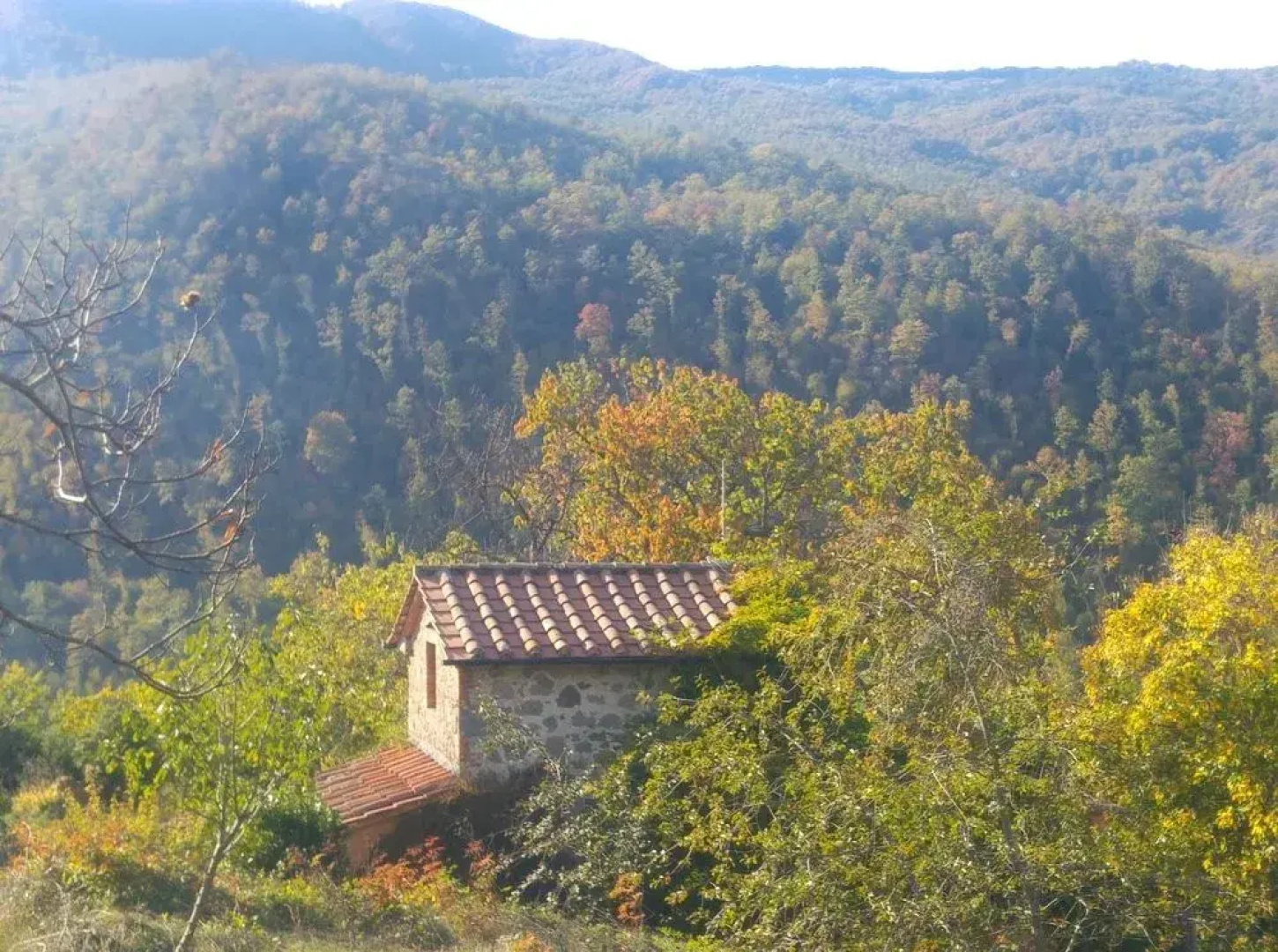 Podere Di Maggio - Santa Fiora Countryside