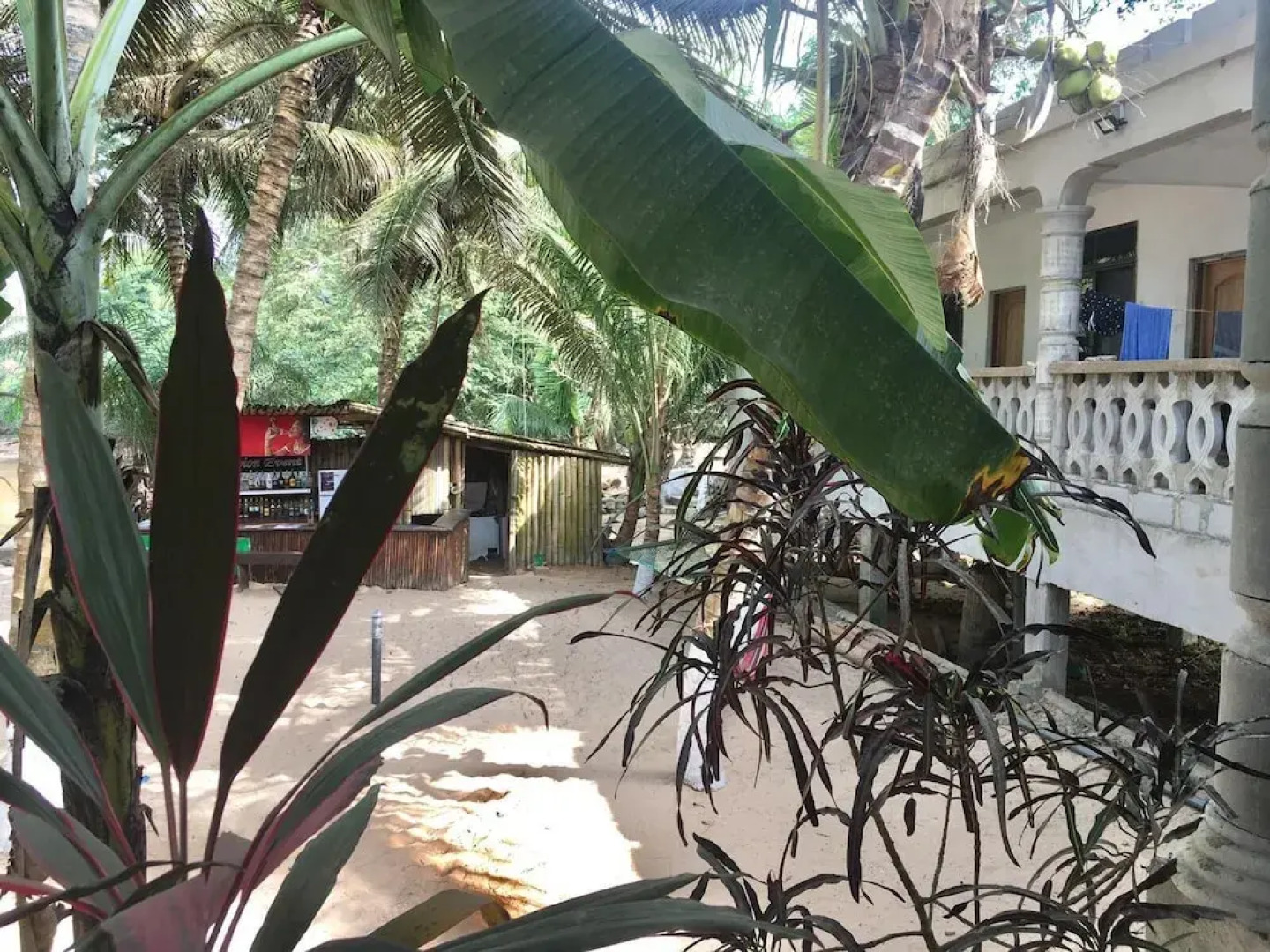 Scorpion Hill Lodge - Hostel