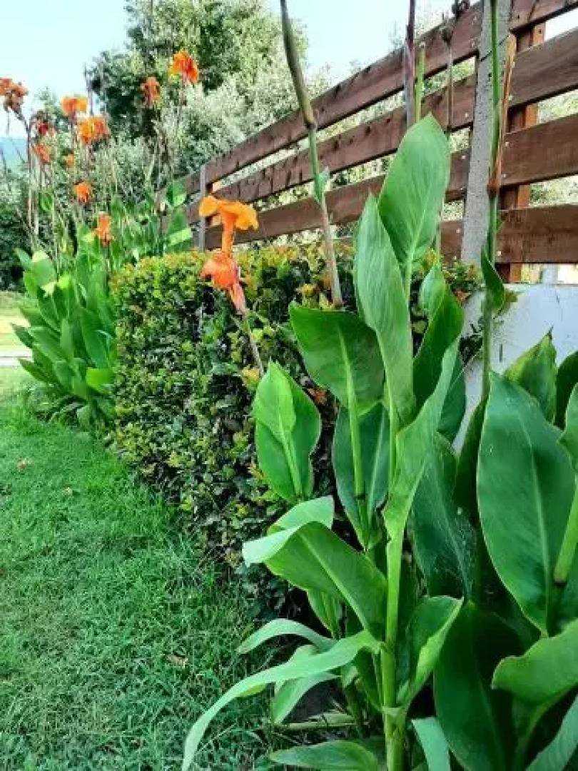 Luxury House Papadimitriou