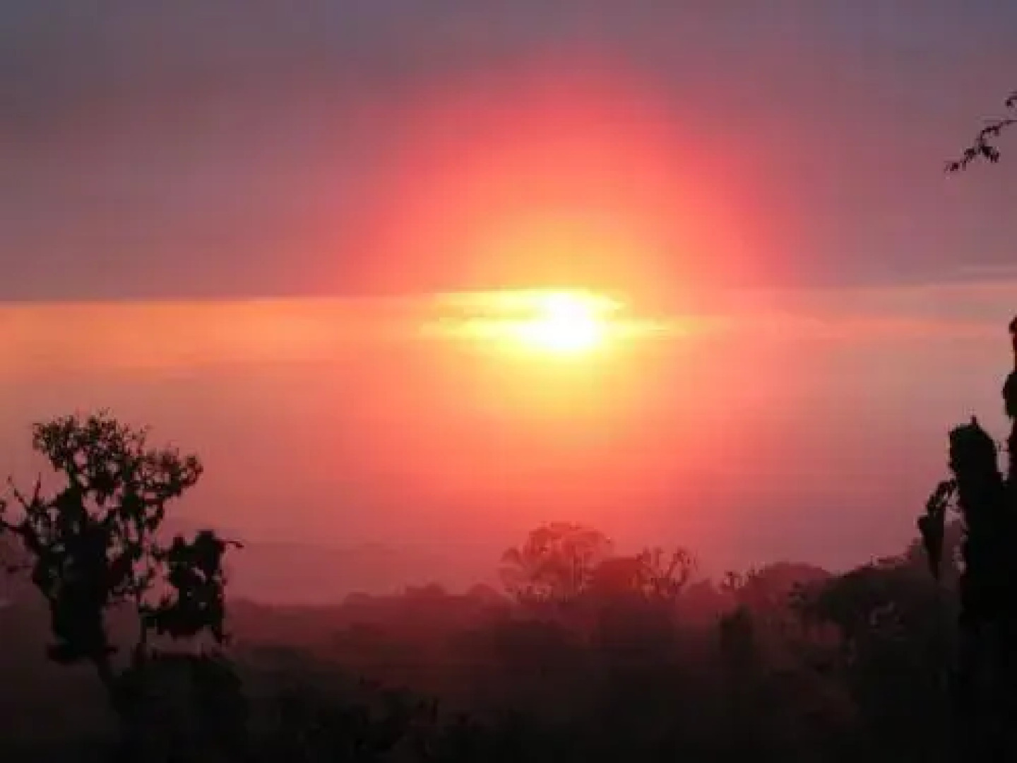 Birdwatchers House y Lodge