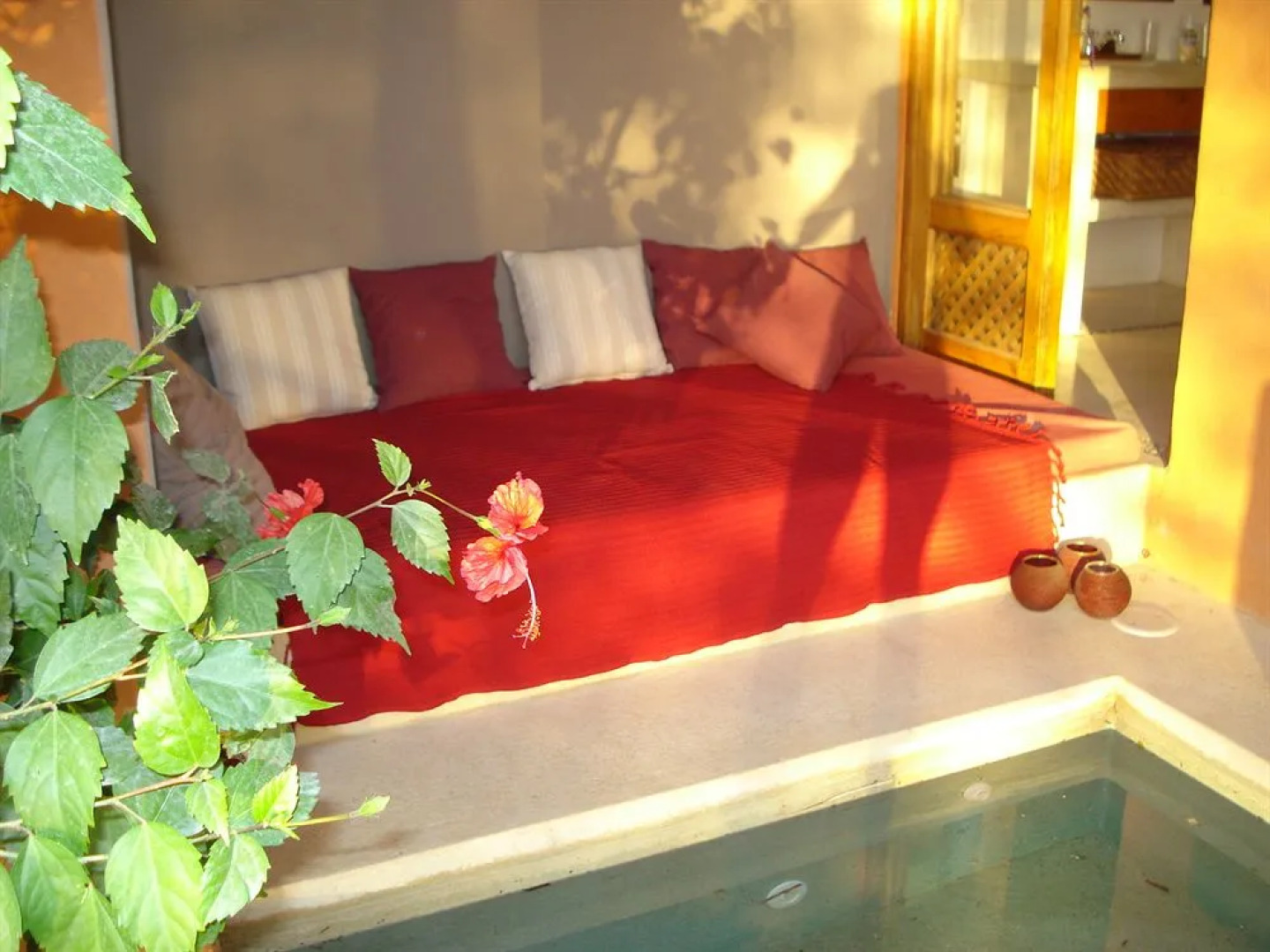 Colores Del Pacifico