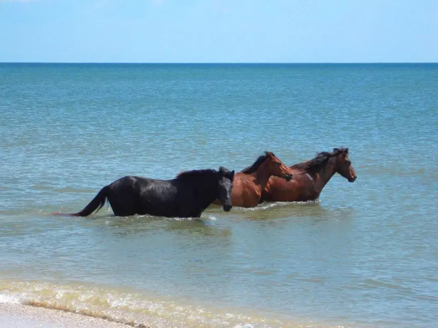 Traditional House in Danube Delta