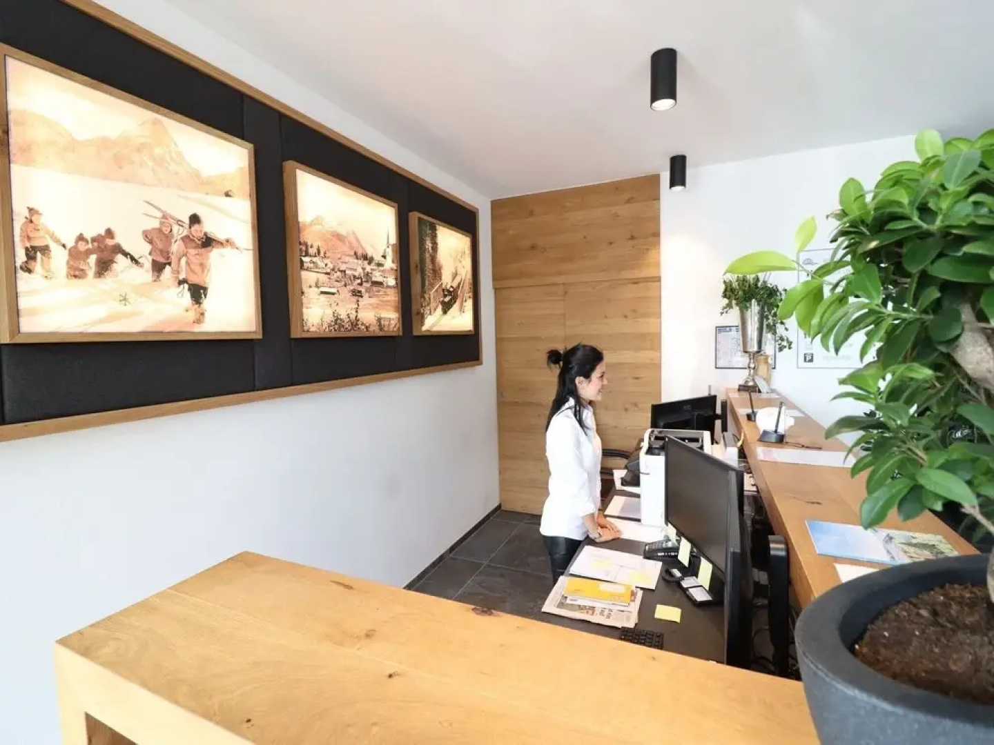 Modern Apartment in the Citycenter of Mariapfarr
