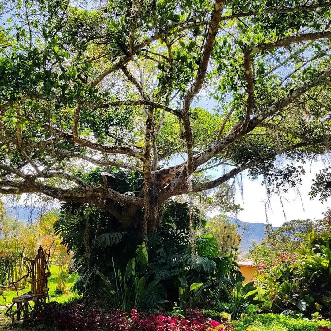 Sindamanoy Centro de Bienestar