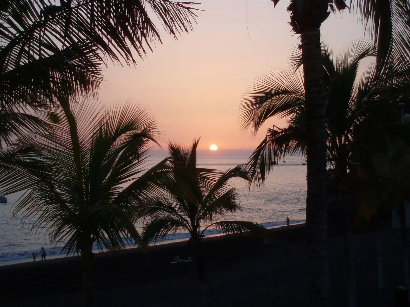 Apartamentos Playa Delphin