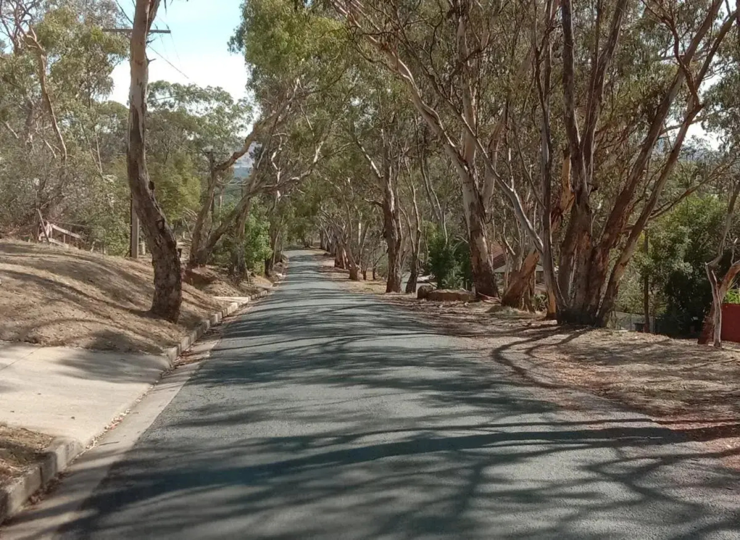 Treetops Escape Albury