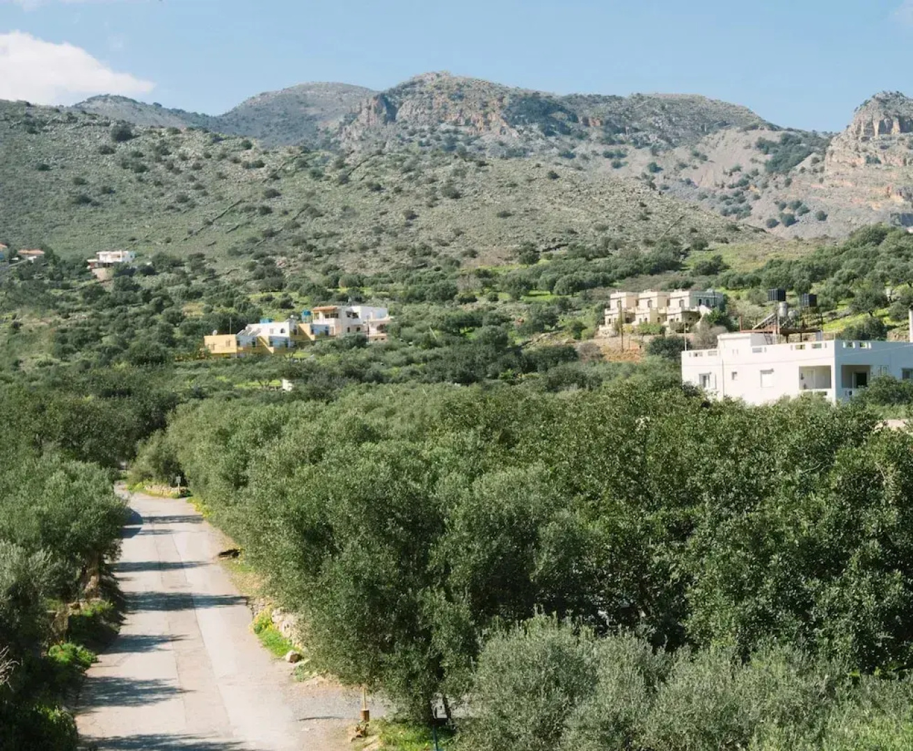 Elounda George Studios